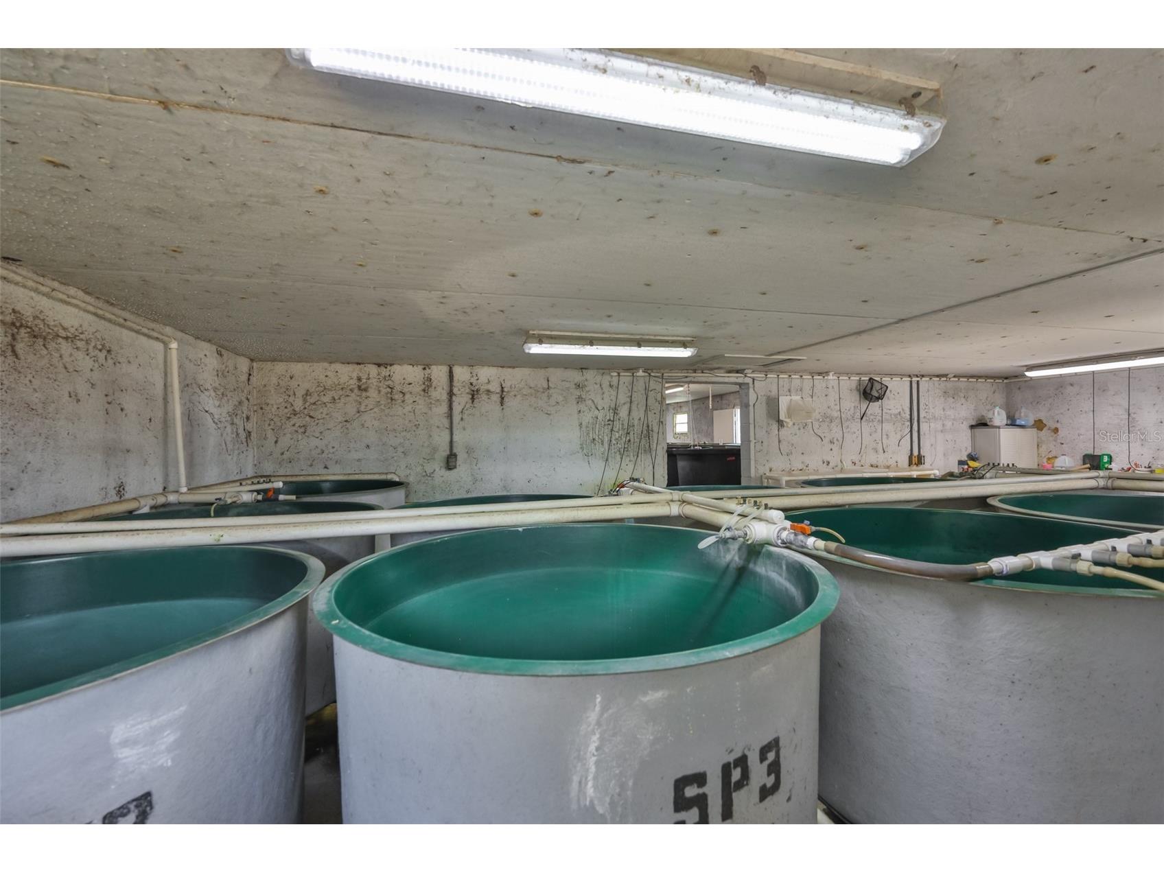 20112 Hobbs Road Wimauma FL 33598 TB8474506 image77