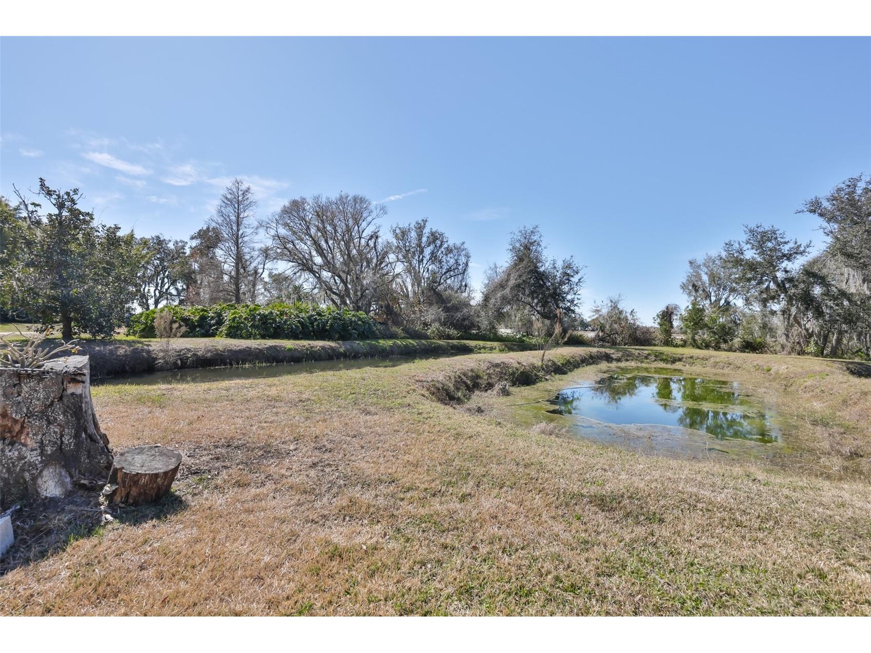 20112 Hobbs Road Wimauma FL 33598 TB8474506 image86