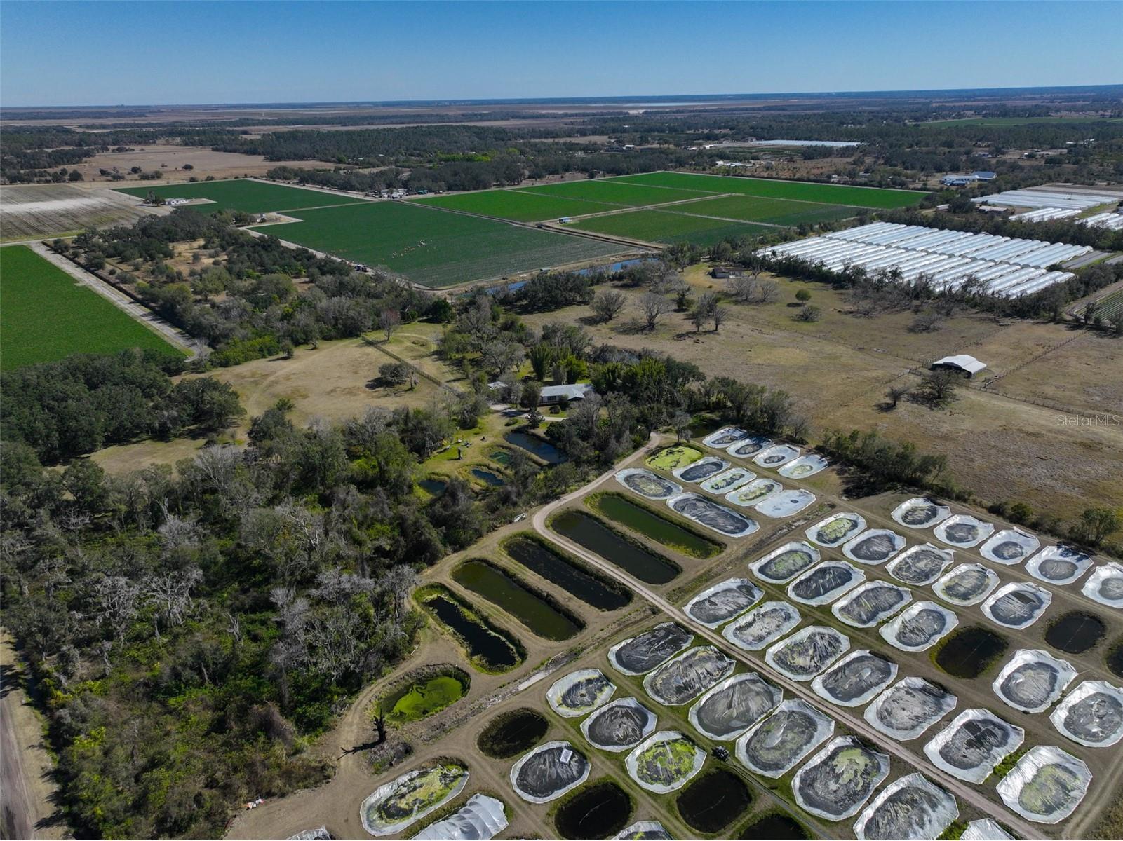 20112 Hobbs Road Wimauma FL 33598 TB8474506 image90