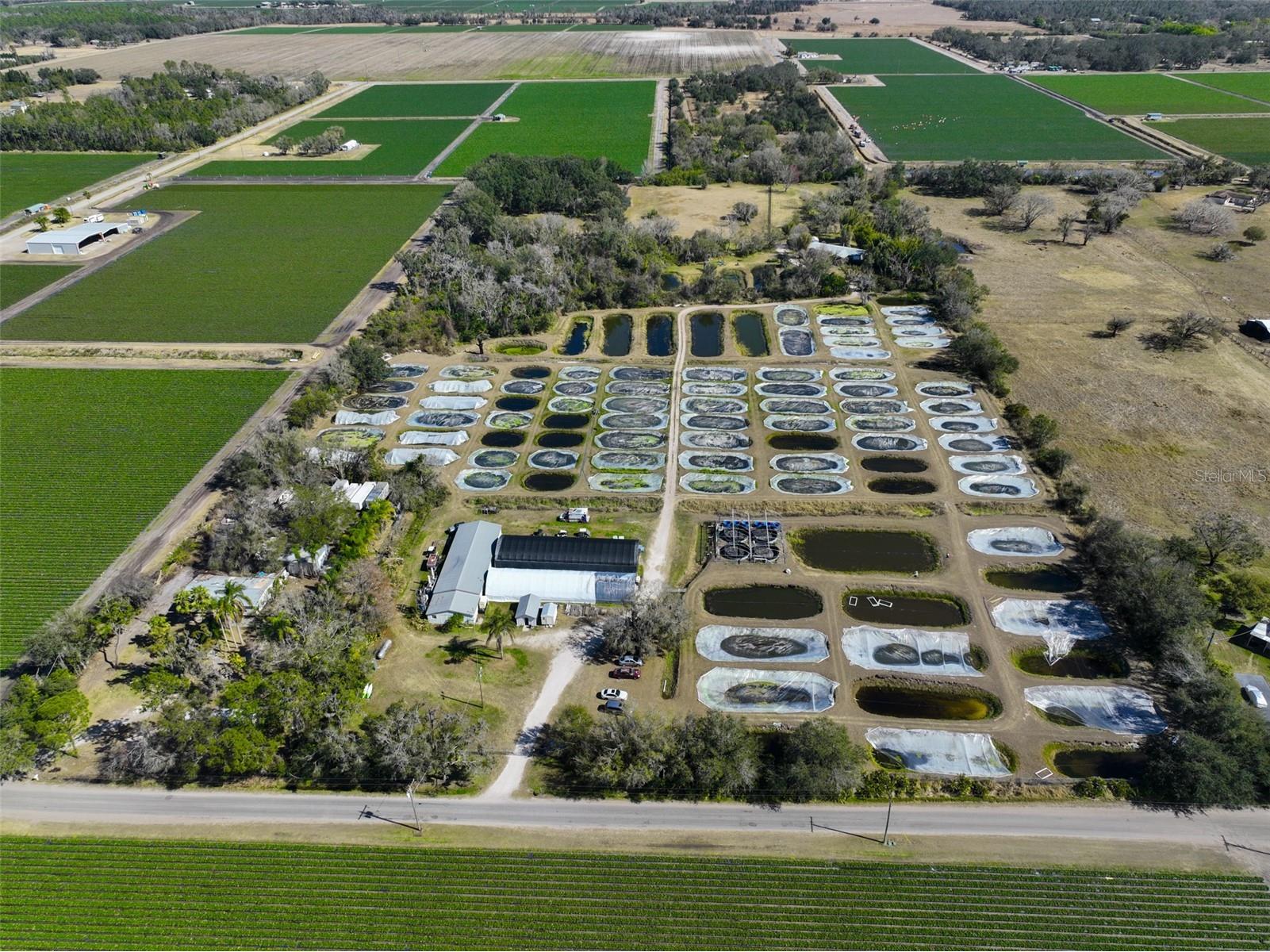 20112 Hobbs Road Wimauma FL 33598 TB8474506 image91