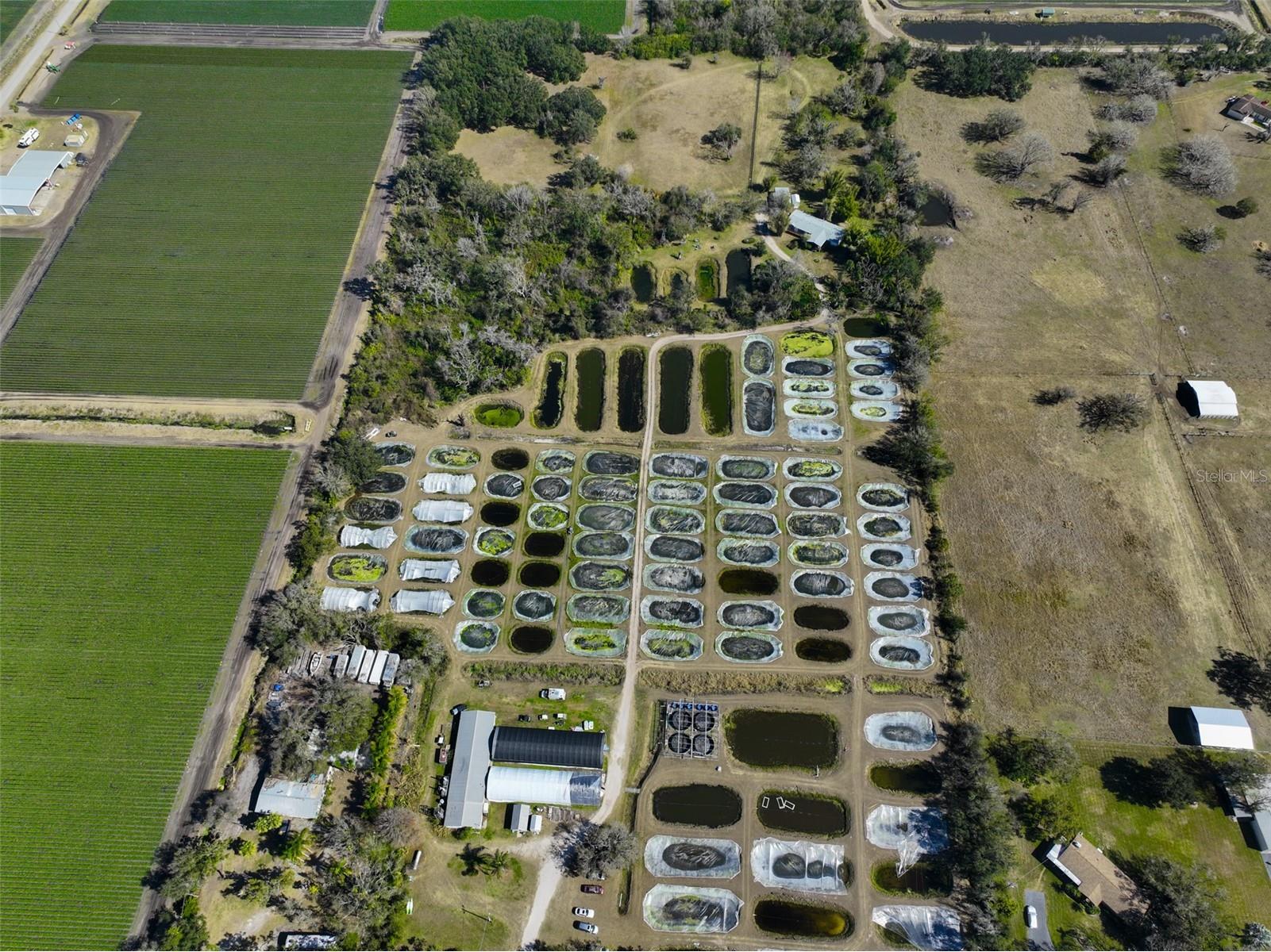 20112 Hobbs Road Wimauma FL 33598 TB8474506 image93