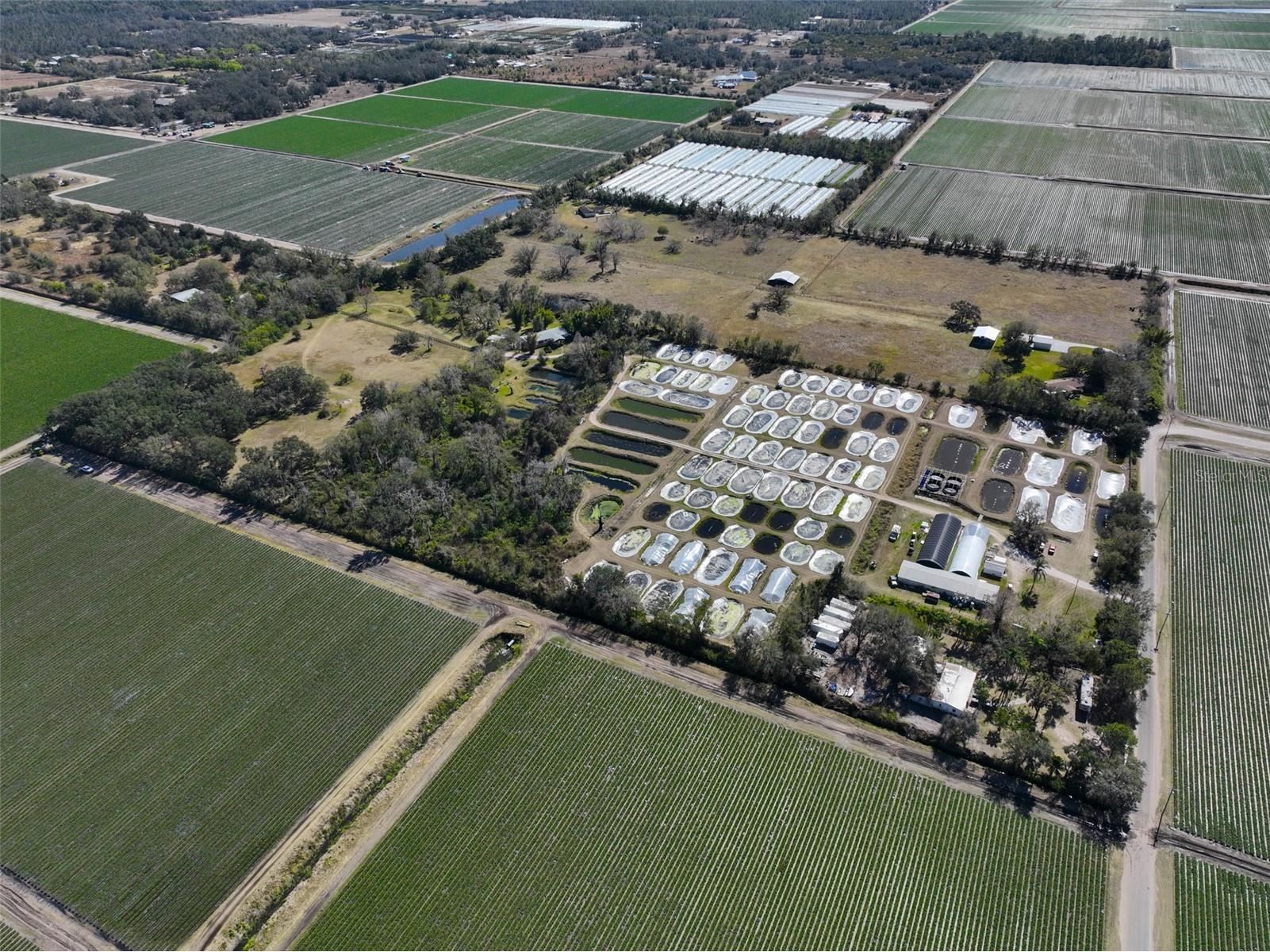 20112 Hobbs Road Wimauma FL 33598 TB8474506 image94