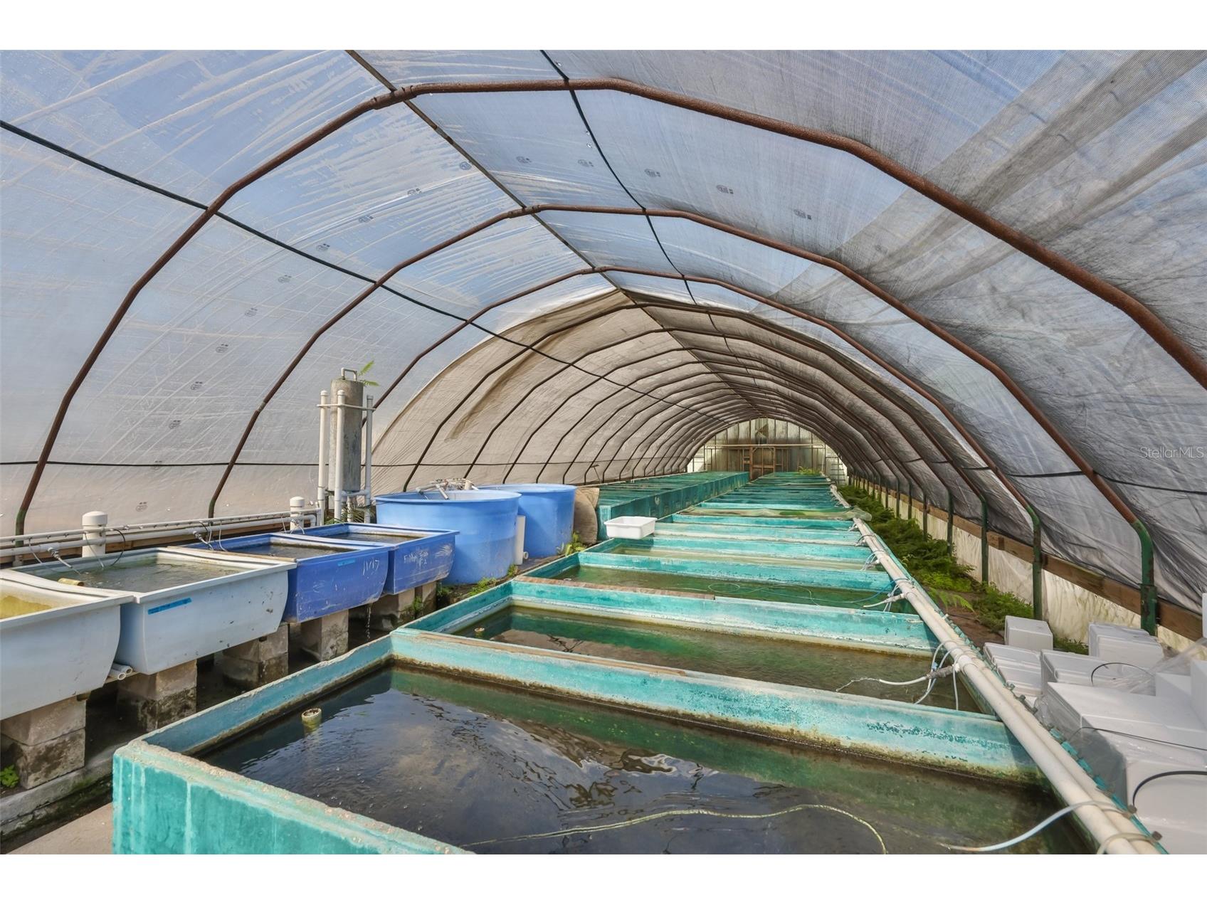 20112 Hobbs Road Wimauma FL 33598 TB8474524 image74