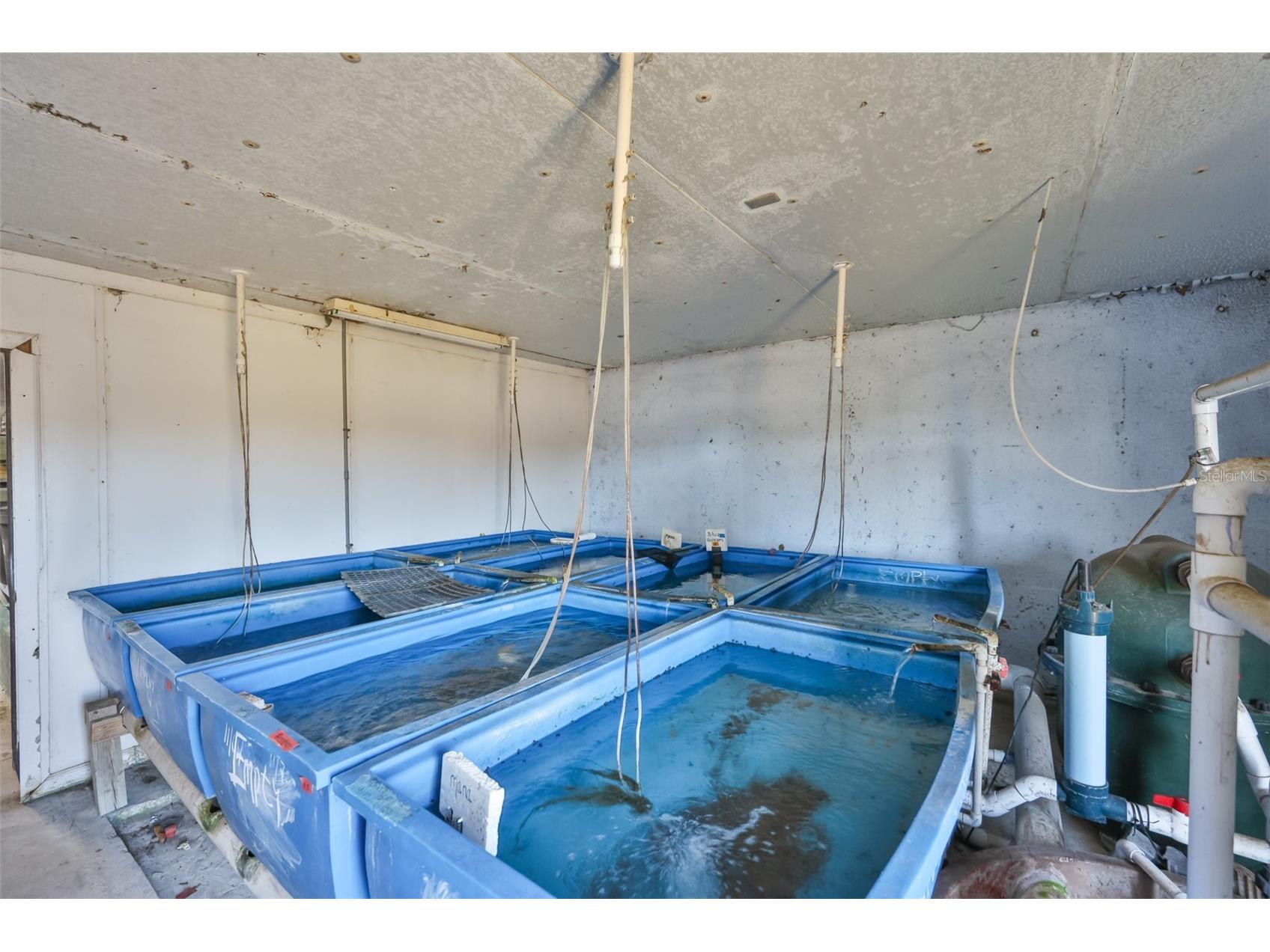 20112 Hobbs Road Wimauma FL 33598 TB8474524 image77