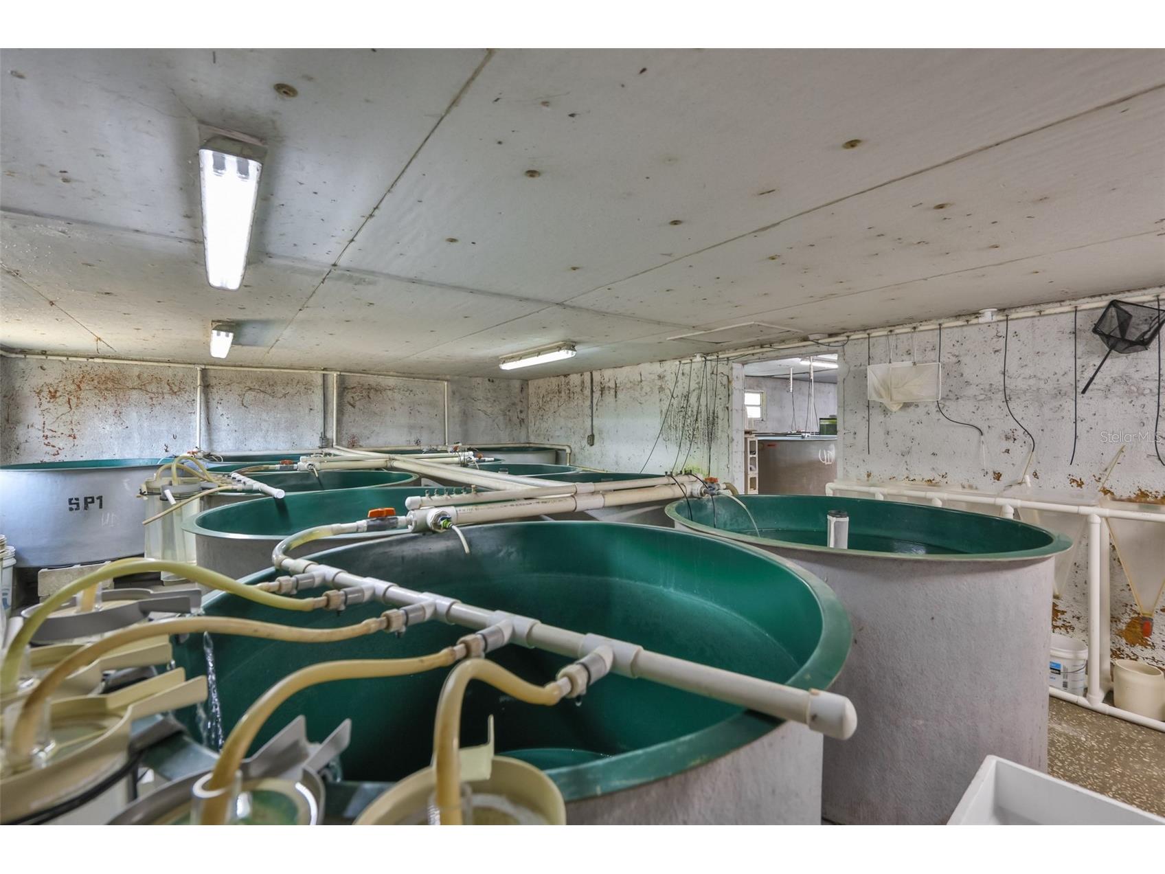 20112 Hobbs Road Wimauma FL 33598 TB8474524 image78