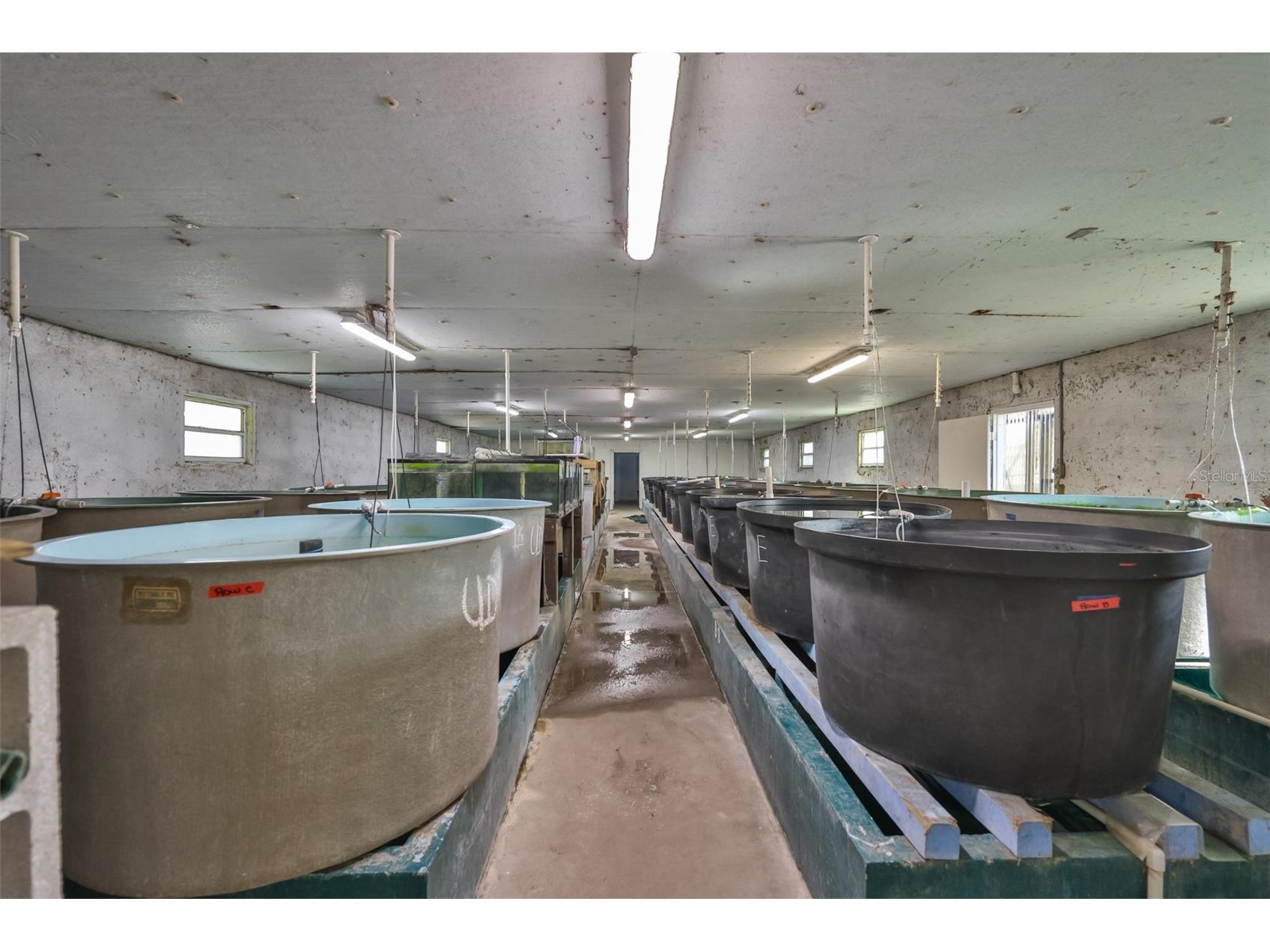 20112 Hobbs Road Wimauma FL 33598 TB8474524 image81