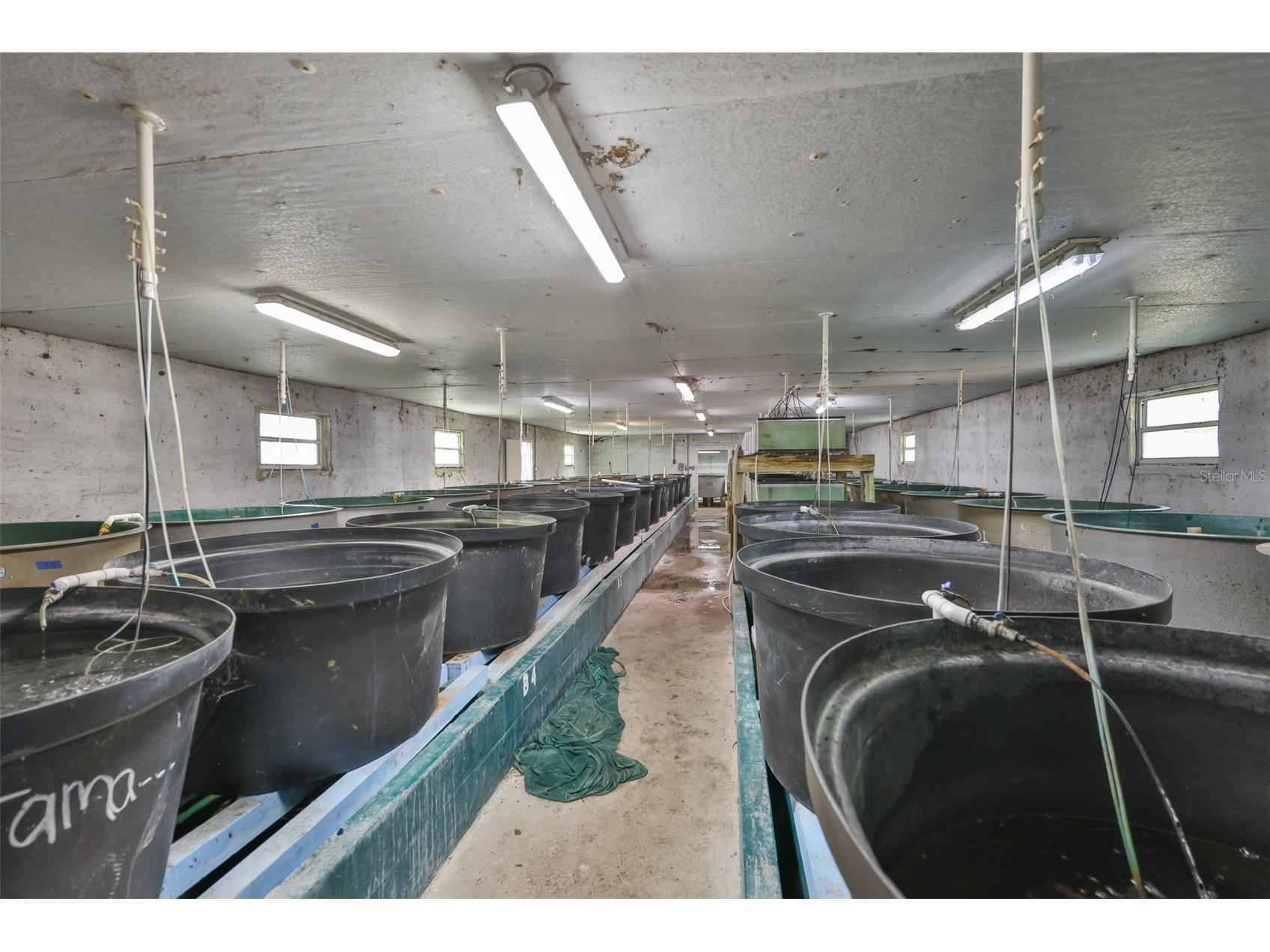 20112 Hobbs Road Wimauma FL 33598 TB8474524 image83