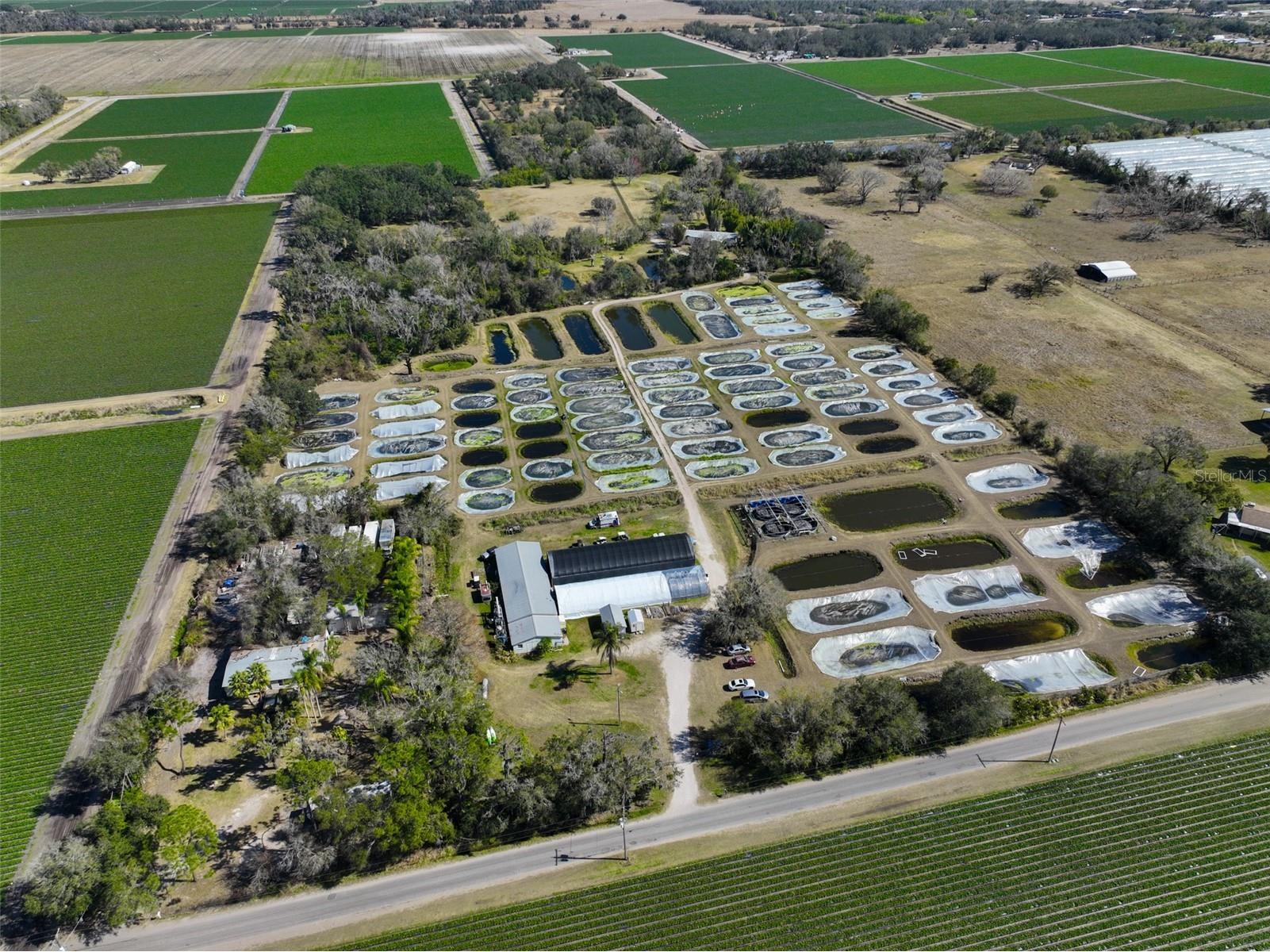 20112 Hobbs Road Wimauma FL 33598 TB8474524 image92