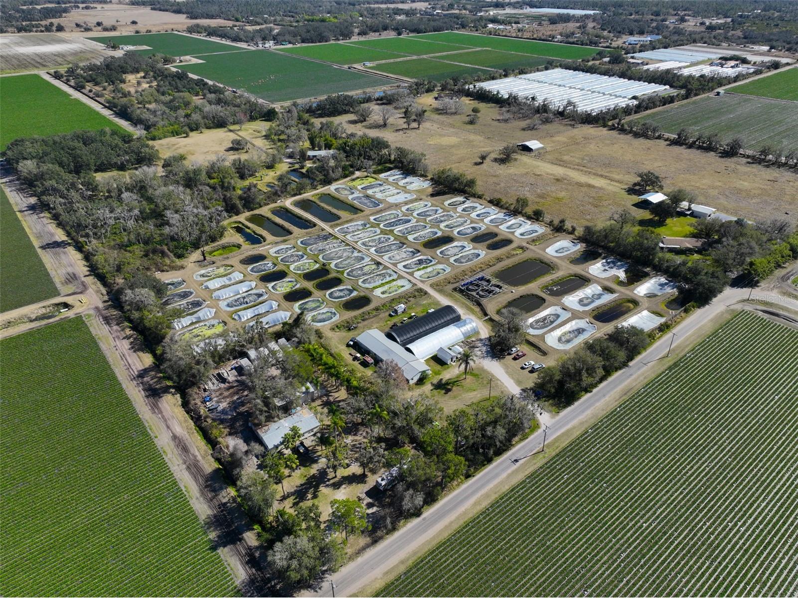 20112 Hobbs Road Wimauma FL 33598 TB8474524 image94