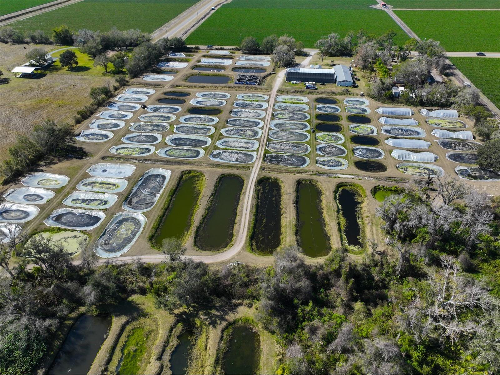 20112 Hobbs Road Wimauma FL 33598 TB8474537 image16