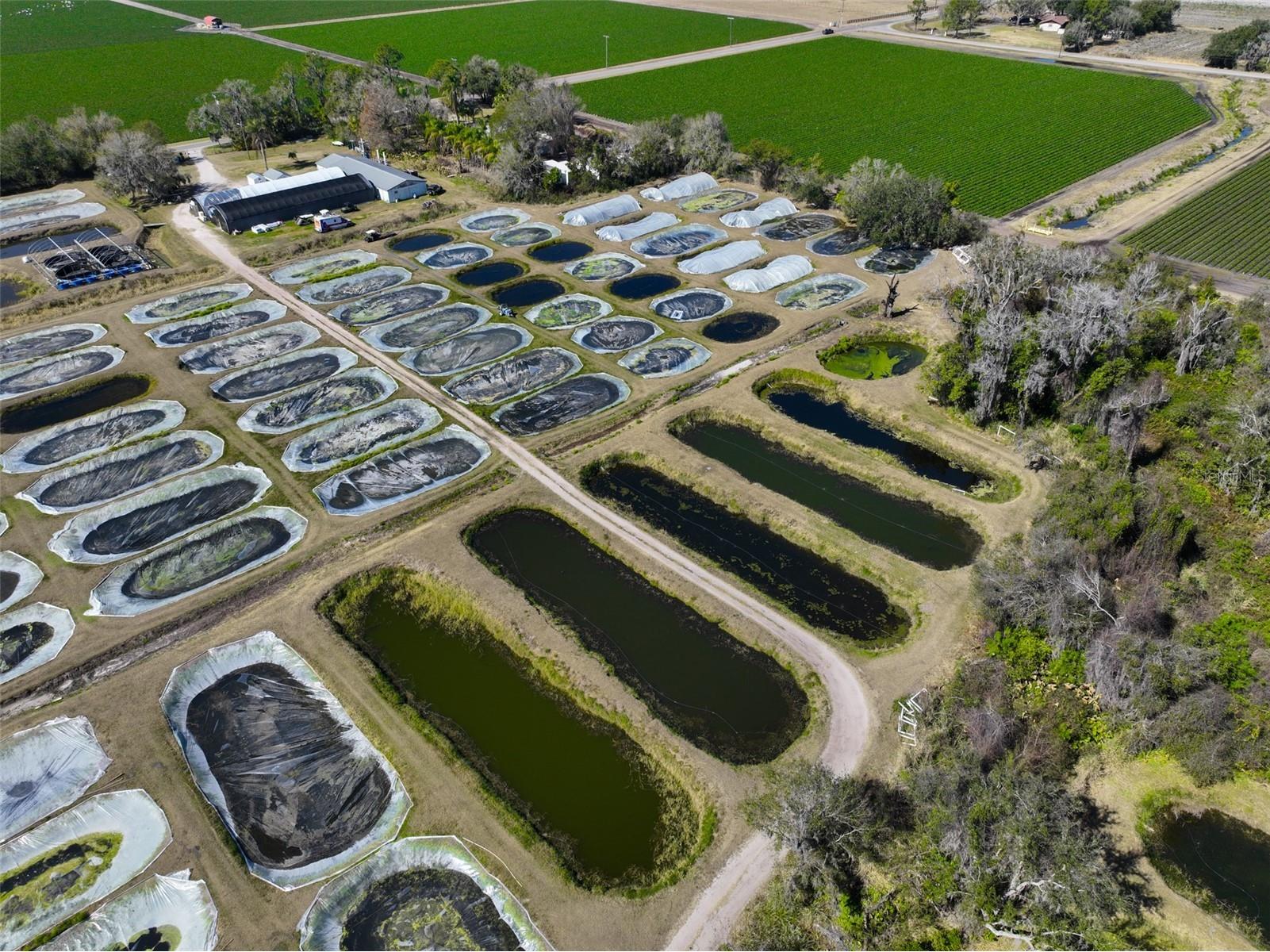 20112 Hobbs Road Wimauma FL 33598 TB8474537 image17