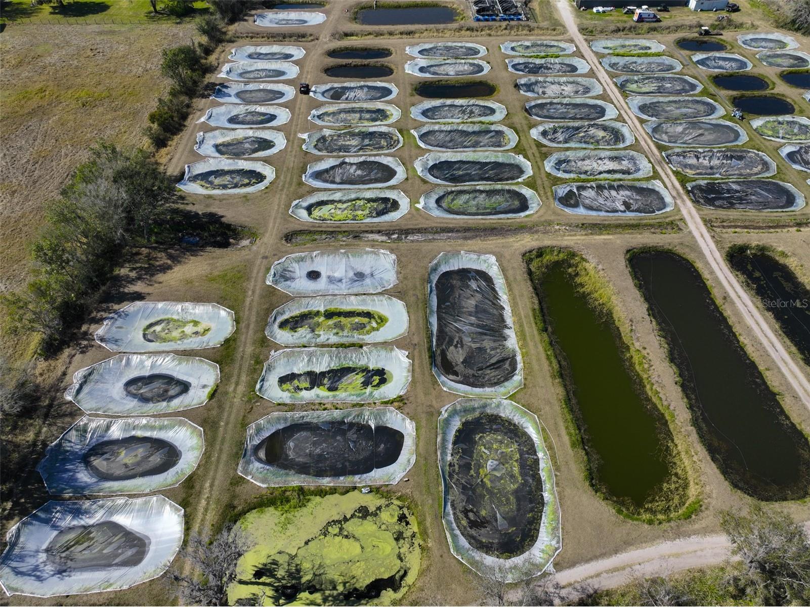 20112 Hobbs Road Wimauma FL 33598 TB8474537 image18