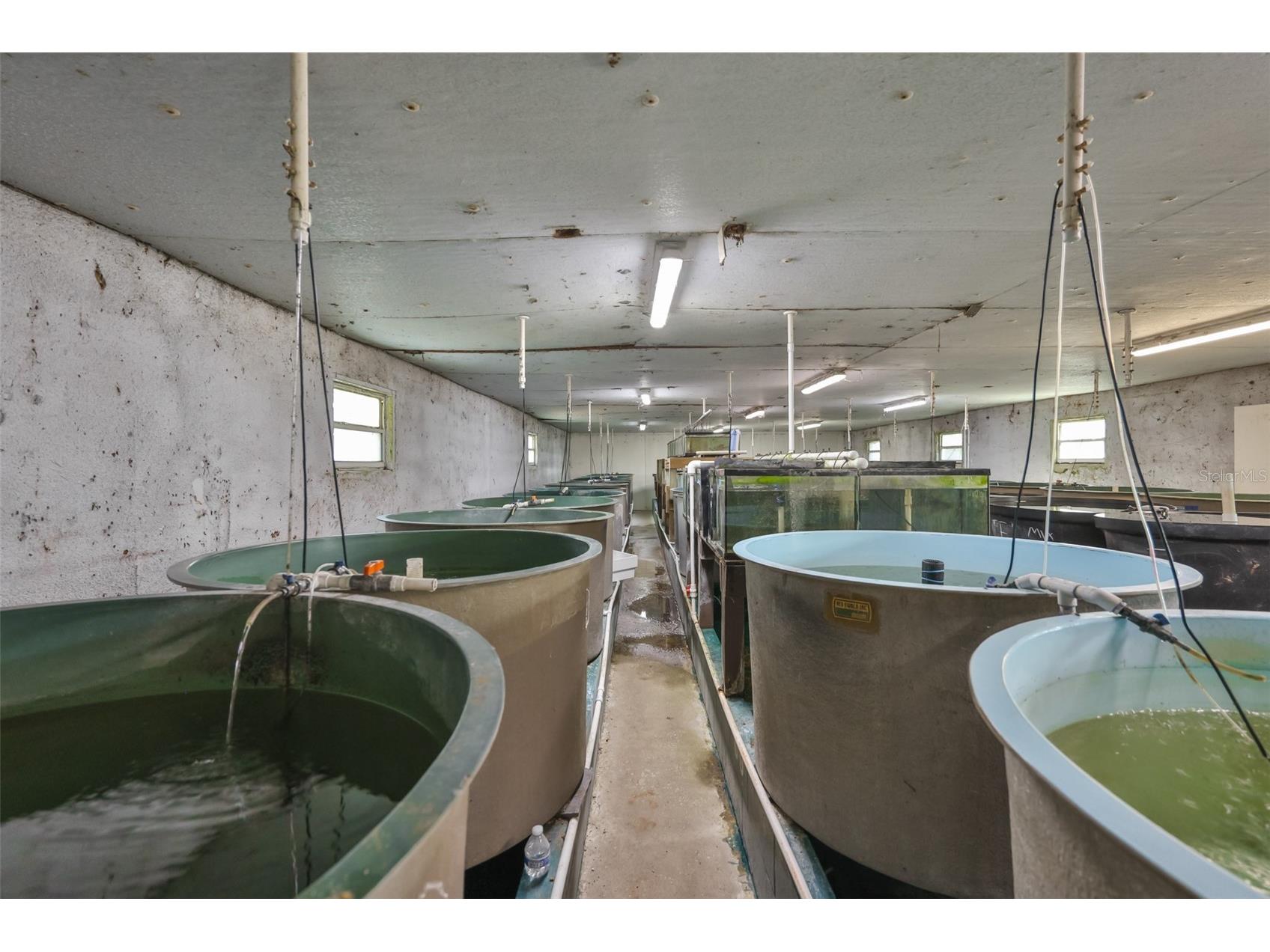 20112 Hobbs Road Wimauma FL 33598 TB8474537 image22