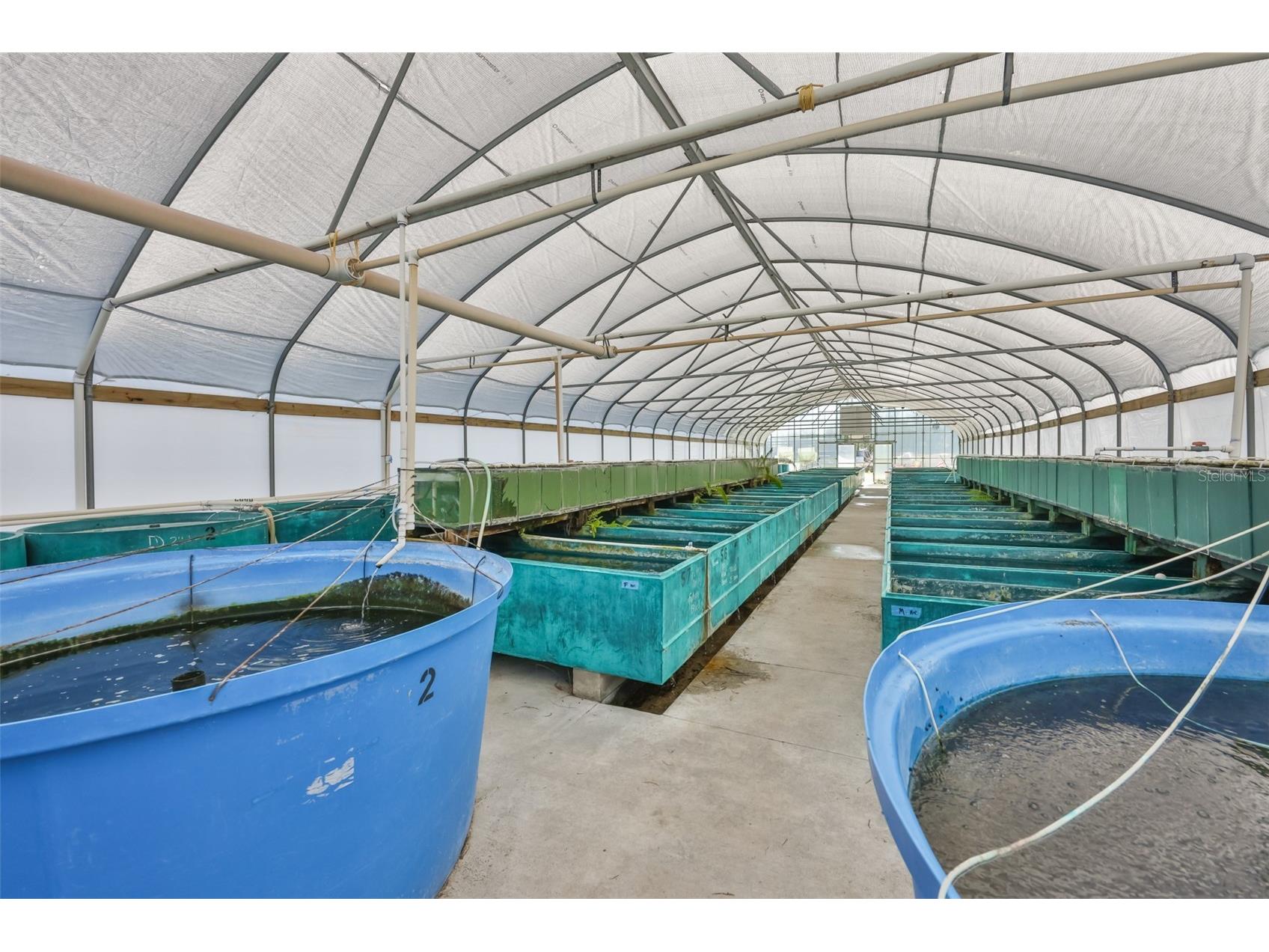 20112 Hobbs Road Wimauma FL 33598 TB8474537 image27