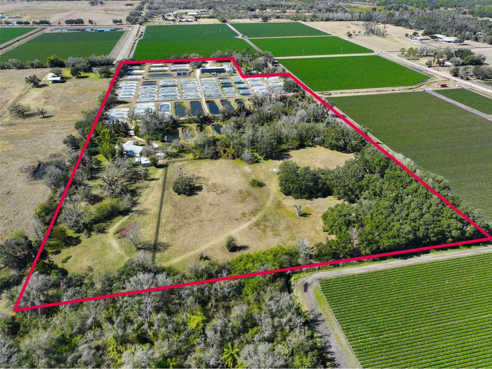 20112 Hobbs Road Wimauma FL 33598 TB8474537 image3