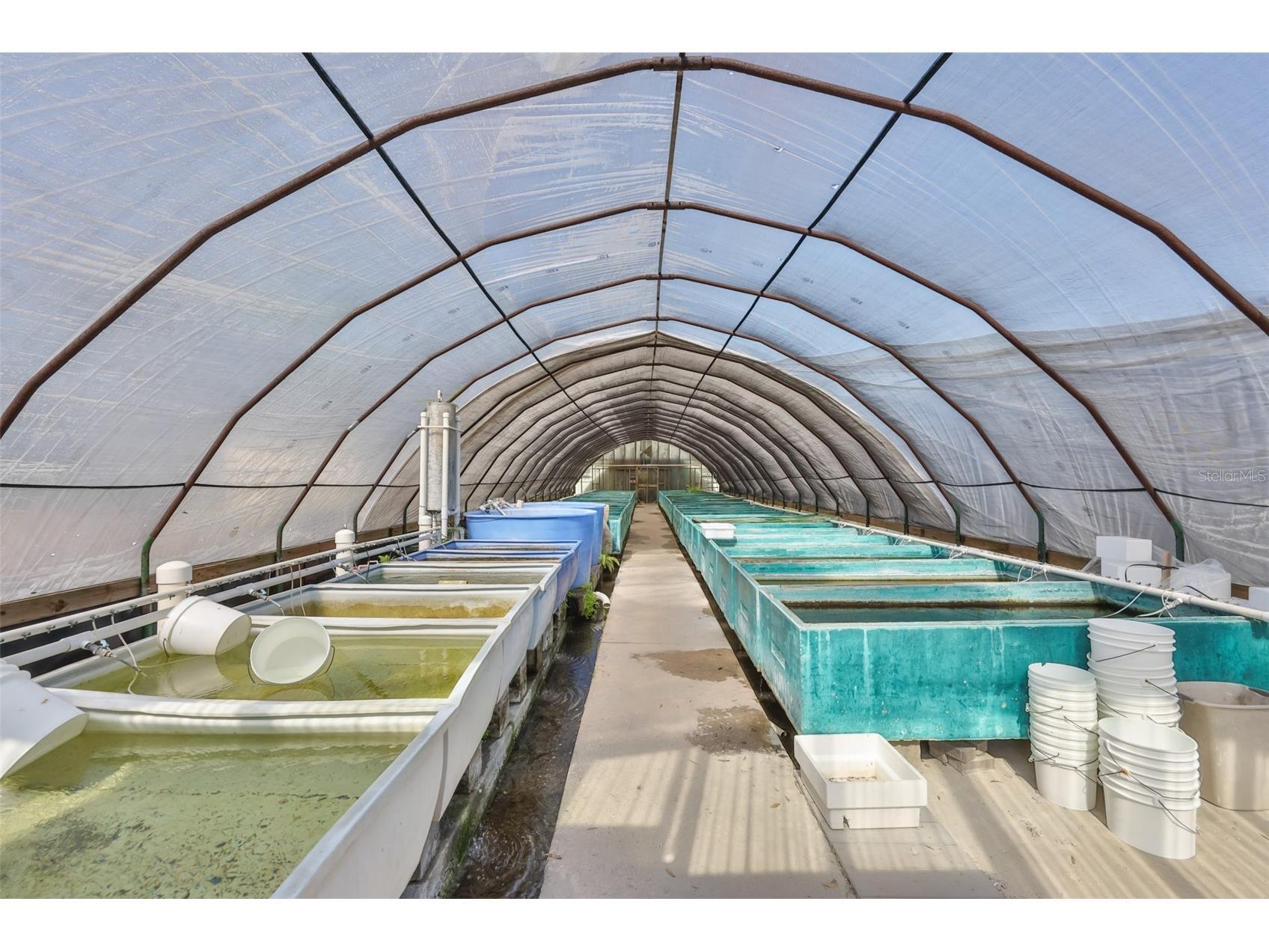 20112 Hobbs Road Wimauma FL 33598 TB8474537 image33