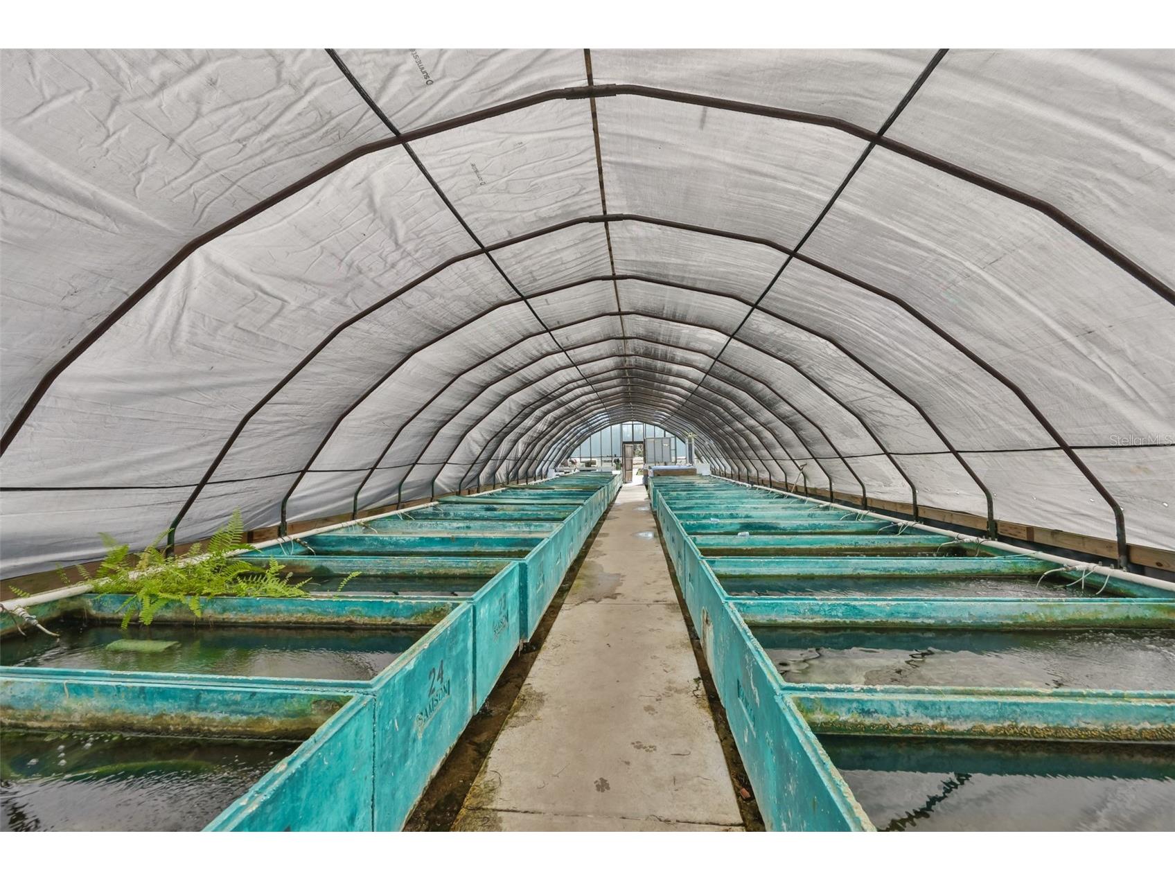 20112 Hobbs Road Wimauma FL 33598 TB8474537 image34