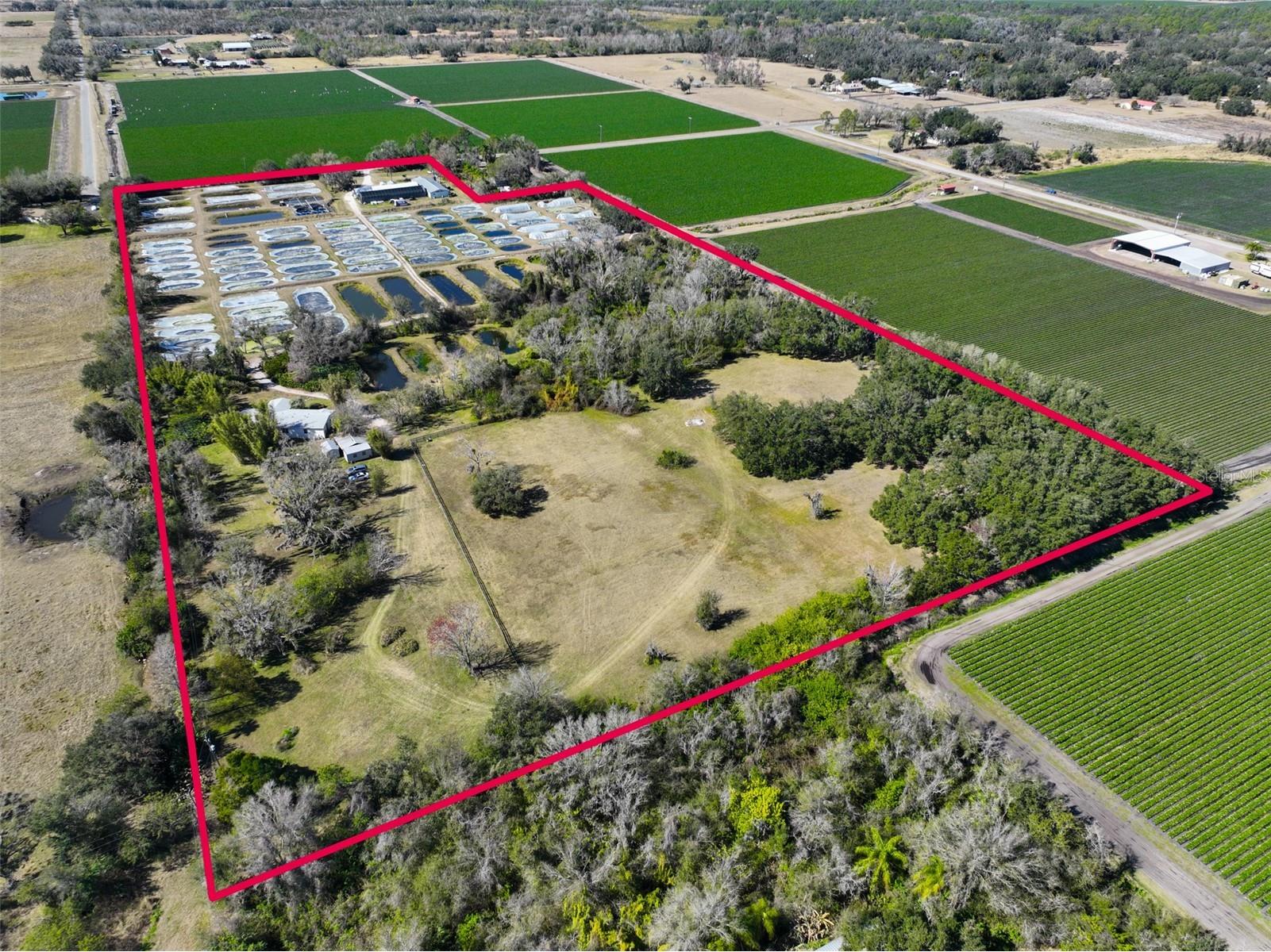 20112 Hobbs Road Wimauma FL 33598 TB8474537 image39