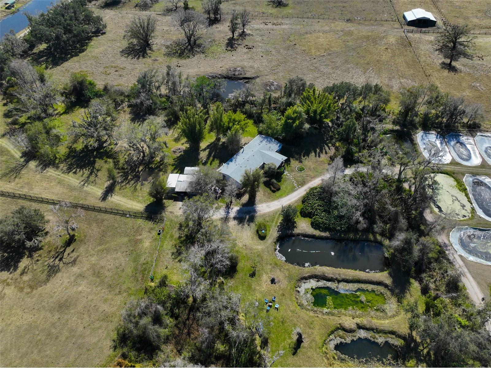 20112 Hobbs Road Wimauma FL 33598 TB8474537 image42