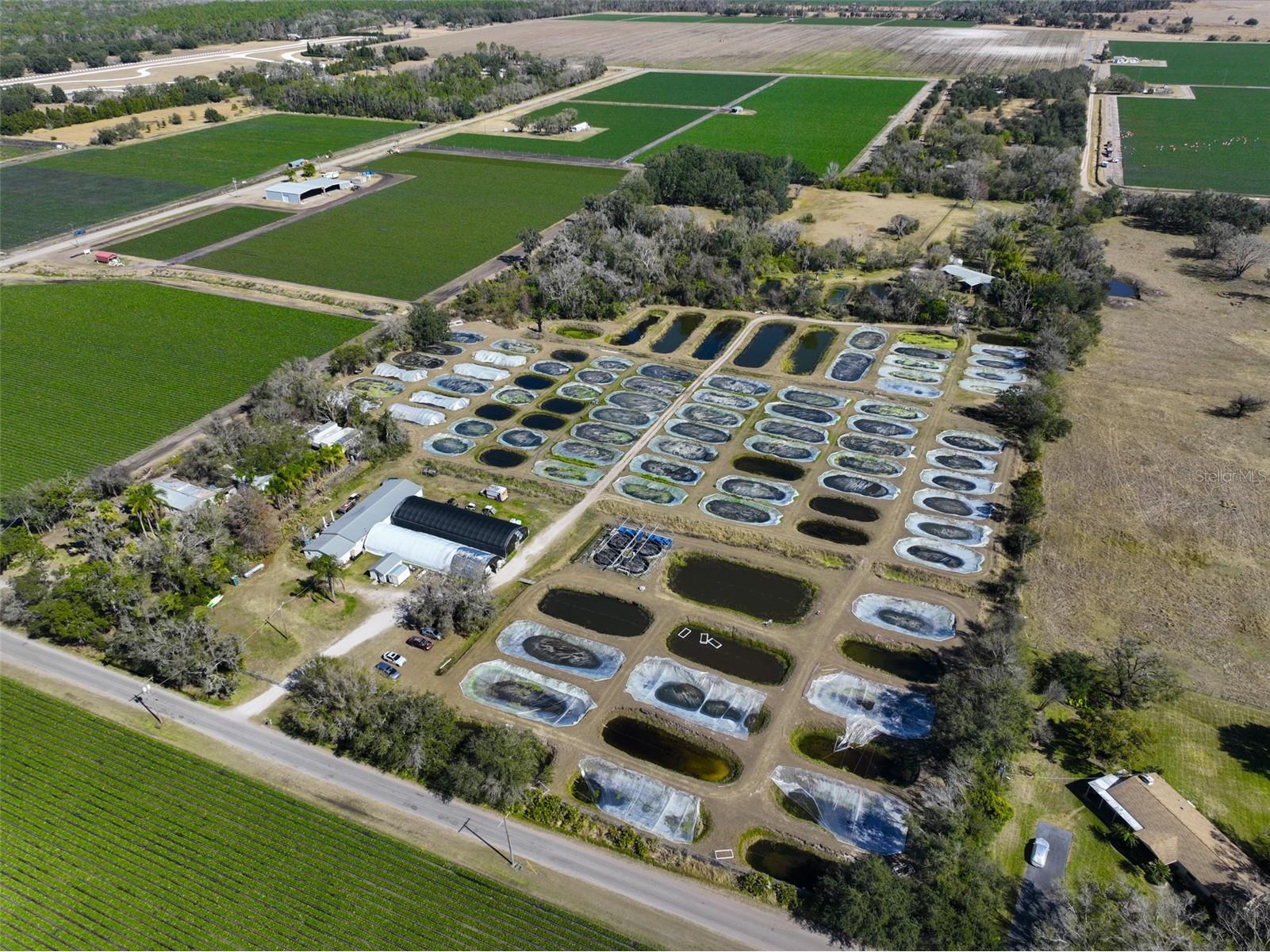 20112 Hobbs Road Wimauma FL 33598 TB8474537 image5