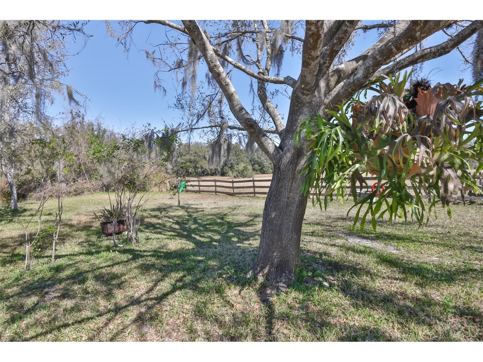 20112 Hobbs Road Wimauma FL 33598 TB8474537 image51