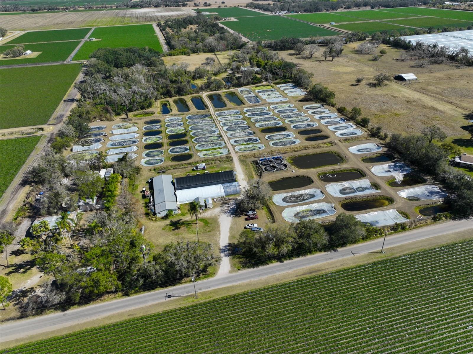 20112 Hobbs Road Wimauma FL 33598 TB8474537 image6