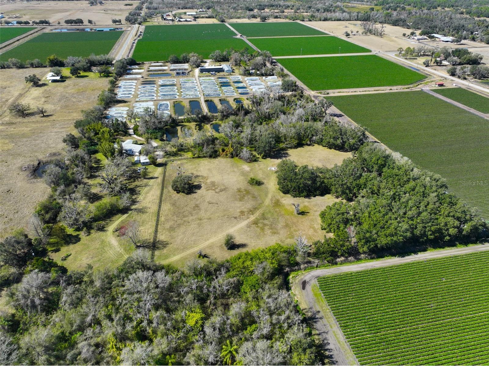 20112 Hobbs Road Wimauma FL 33598 TB8474537 image91