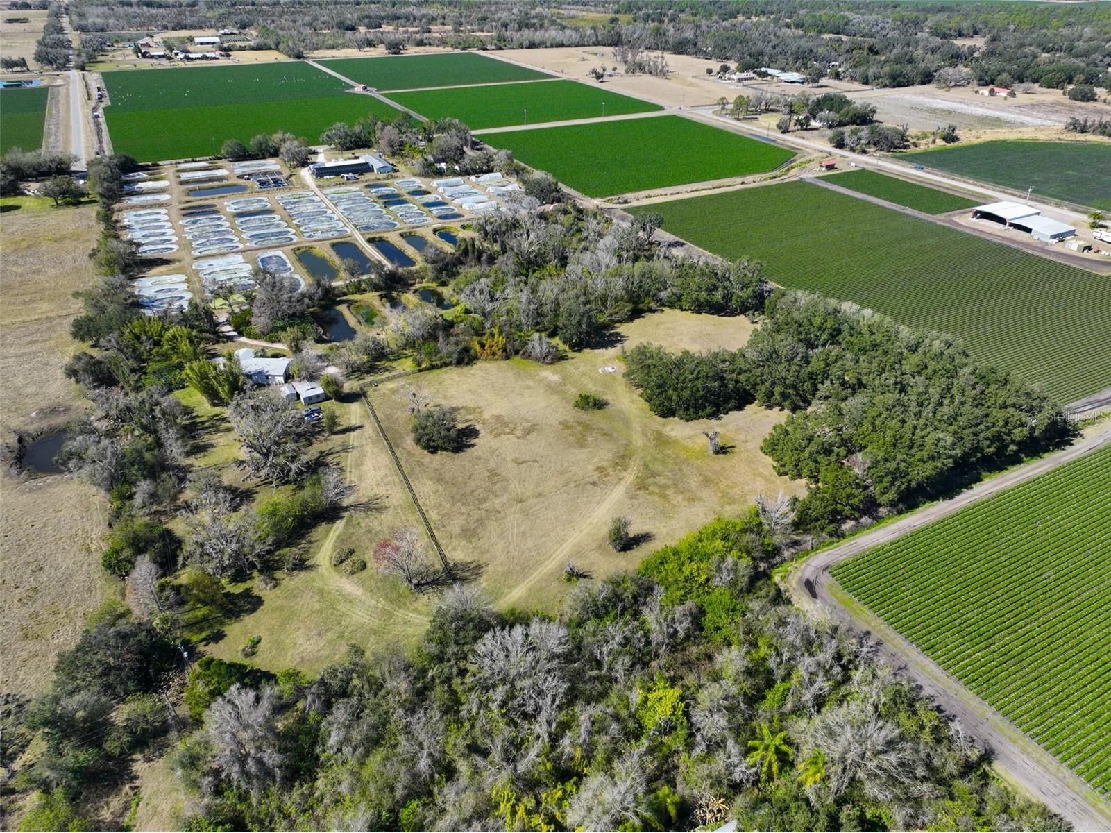 20112 Hobbs Road Wimauma FL 33598 TB8474537 image92