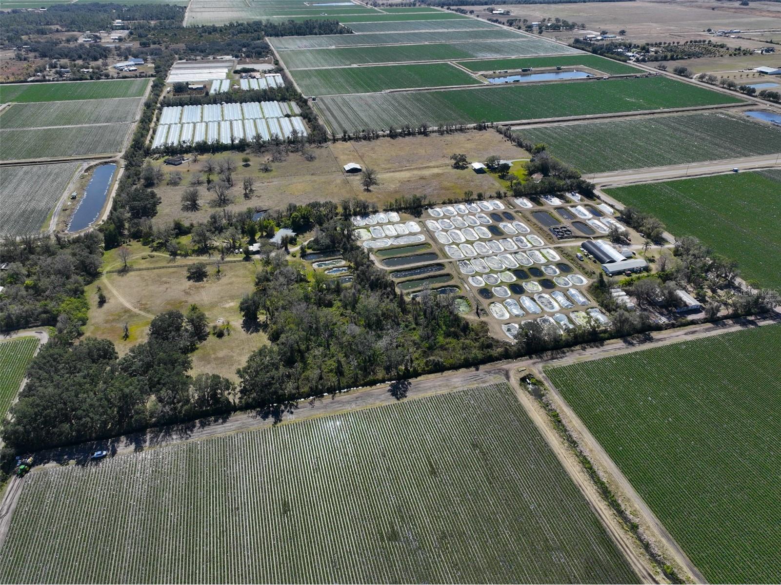 20112 Hobbs Road Wimauma FL 33598 TB8474537 image99