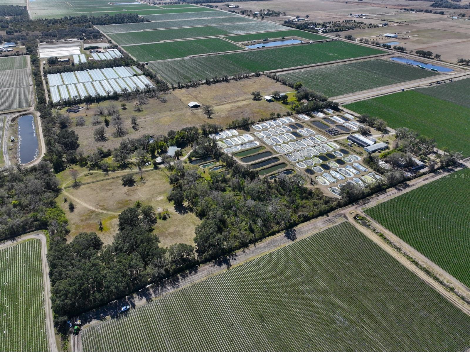 20112 Hobbs Road Wimauma FL 33598 TB8474546 image100