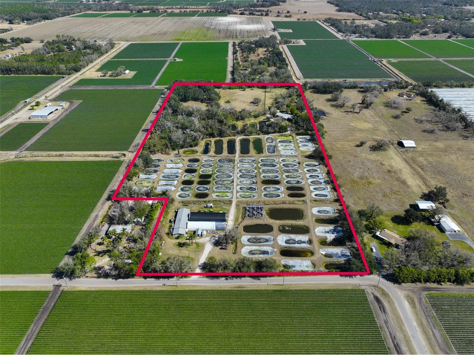 20112 Hobbs Road Wimauma FL 33598 TB8474546 image2