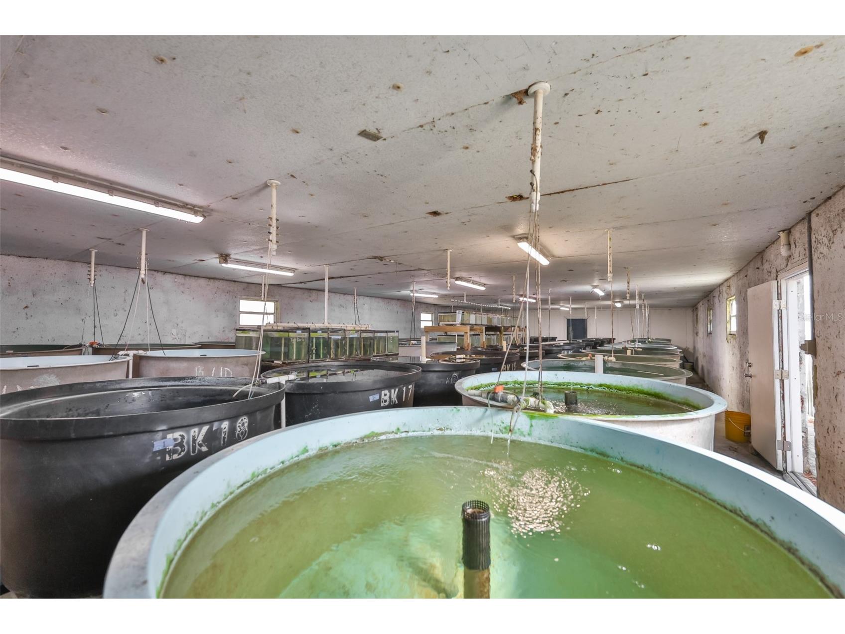 20112 Hobbs Road Wimauma FL 33598 TB8474546 image21