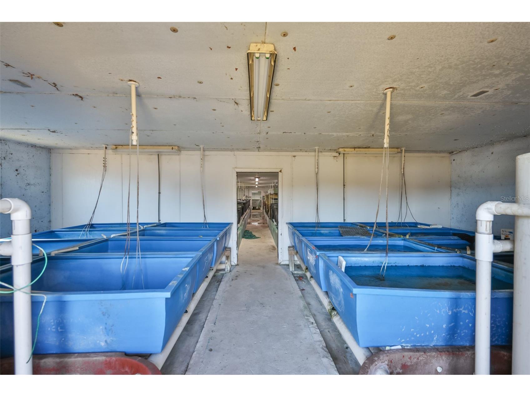 20112 Hobbs Road Wimauma FL 33598 TB8474546 image25