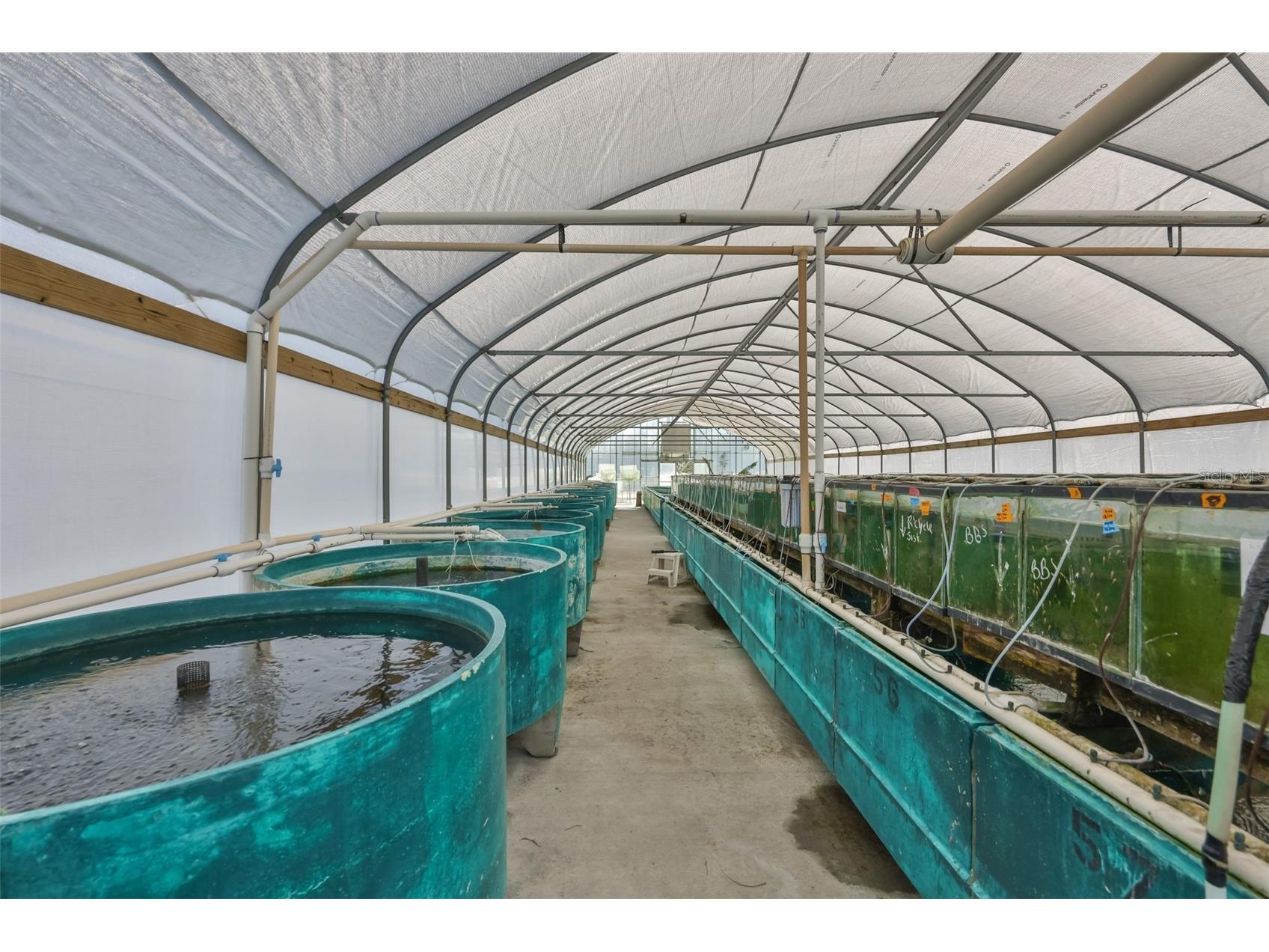 20112 Hobbs Road Wimauma FL 33598 TB8474546 image29