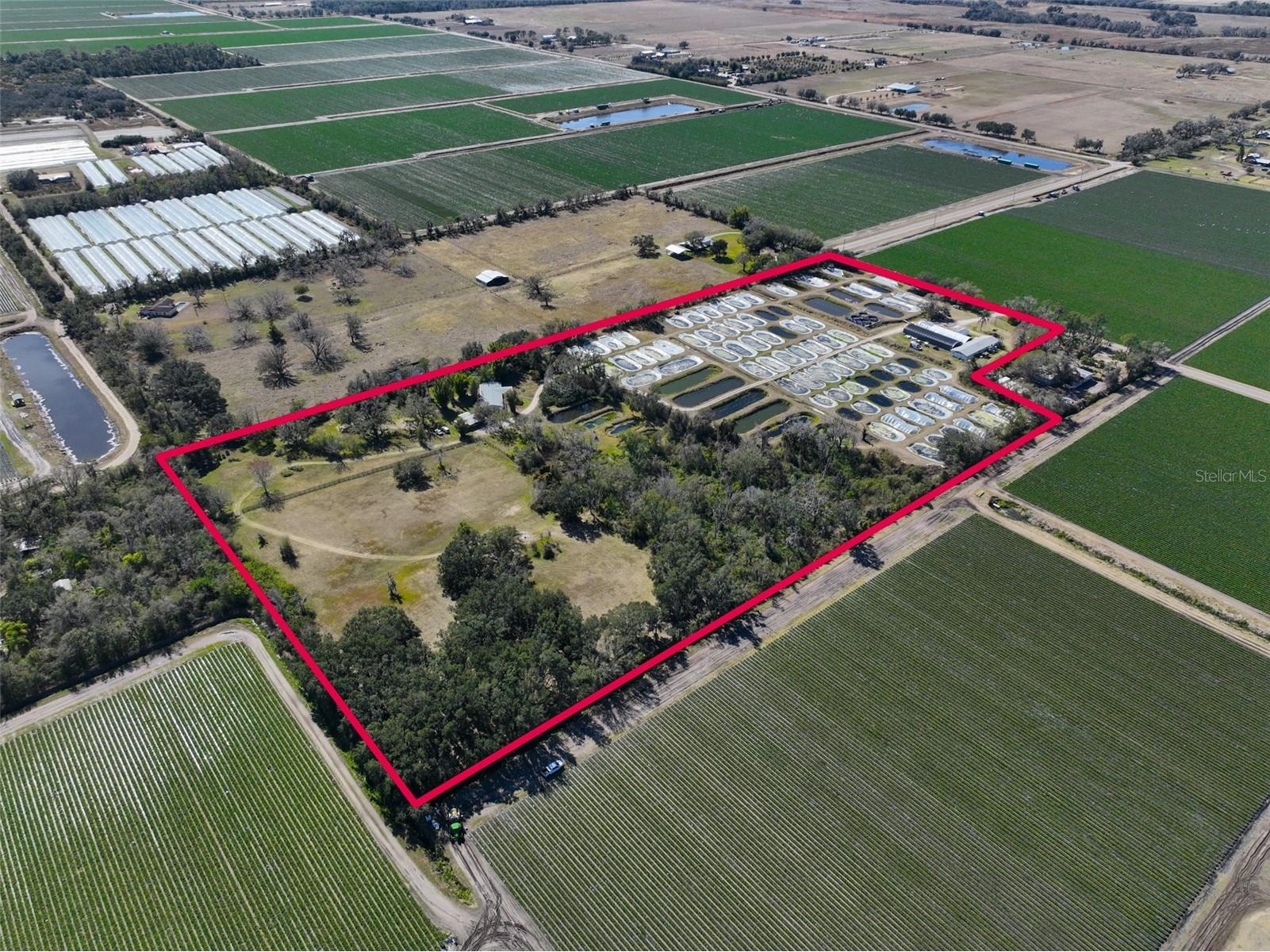 20112 Hobbs Road Wimauma FL 33598 TB8474546 image3