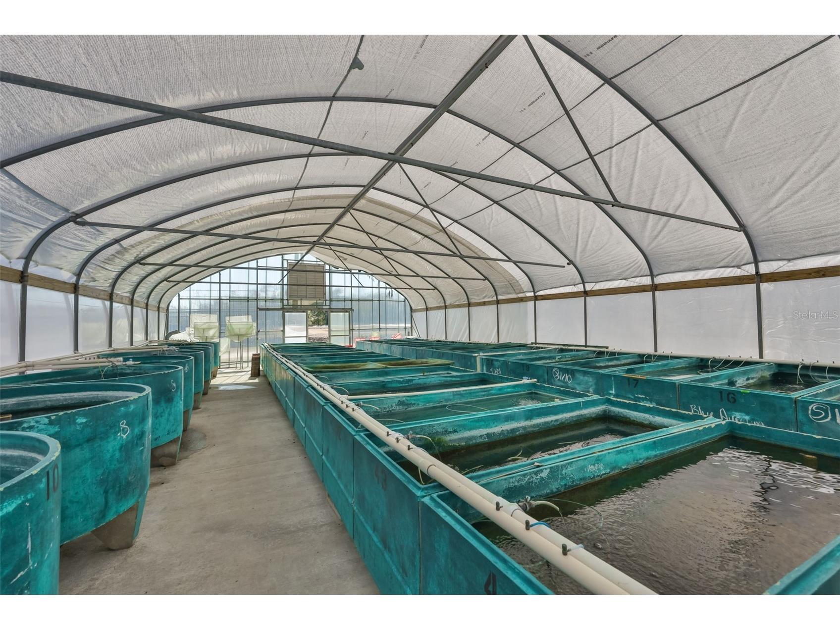 20112 Hobbs Road Wimauma FL 33598 TB8474546 image30