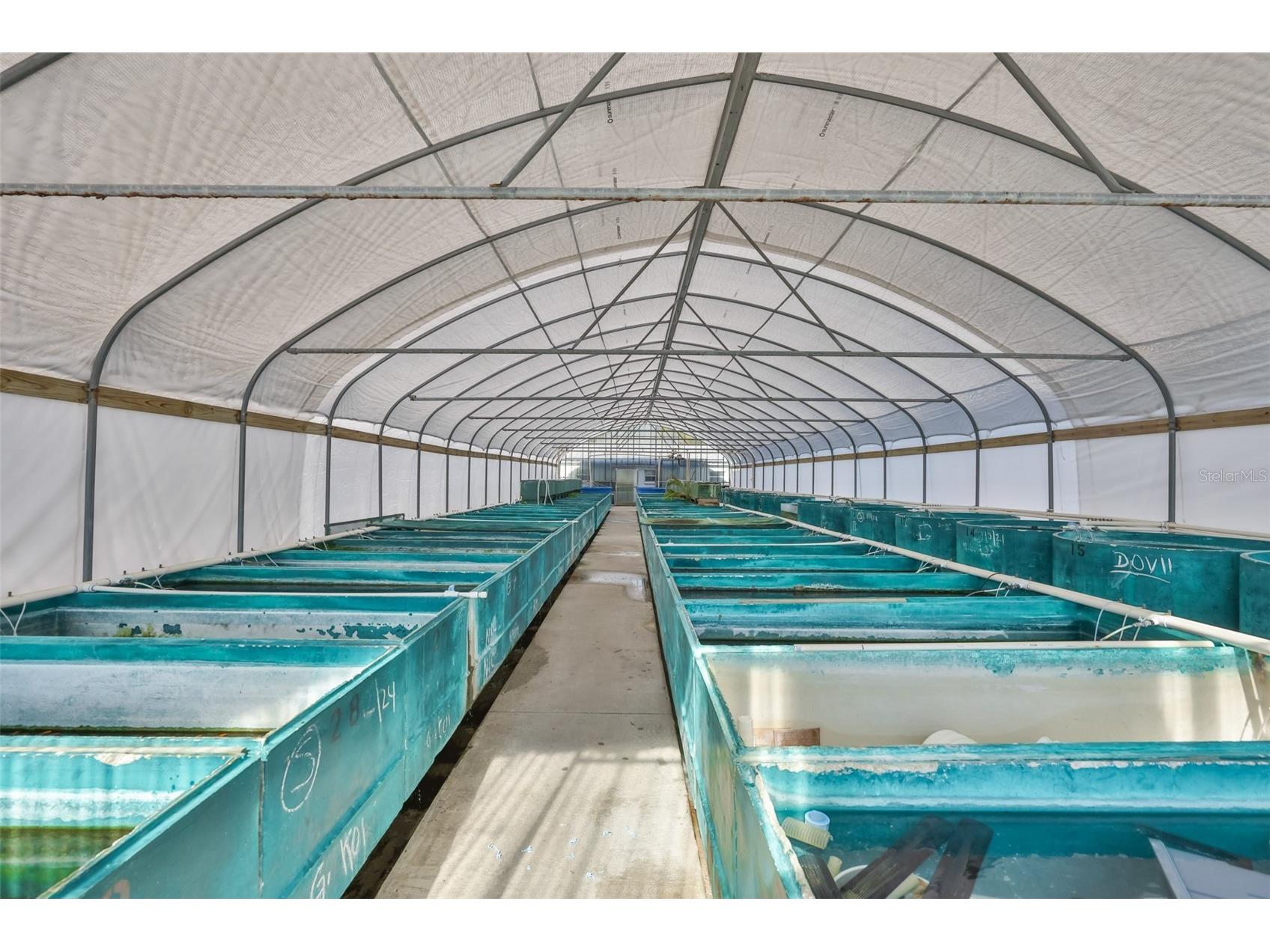 20112 Hobbs Road Wimauma FL 33598 TB8474546 image31