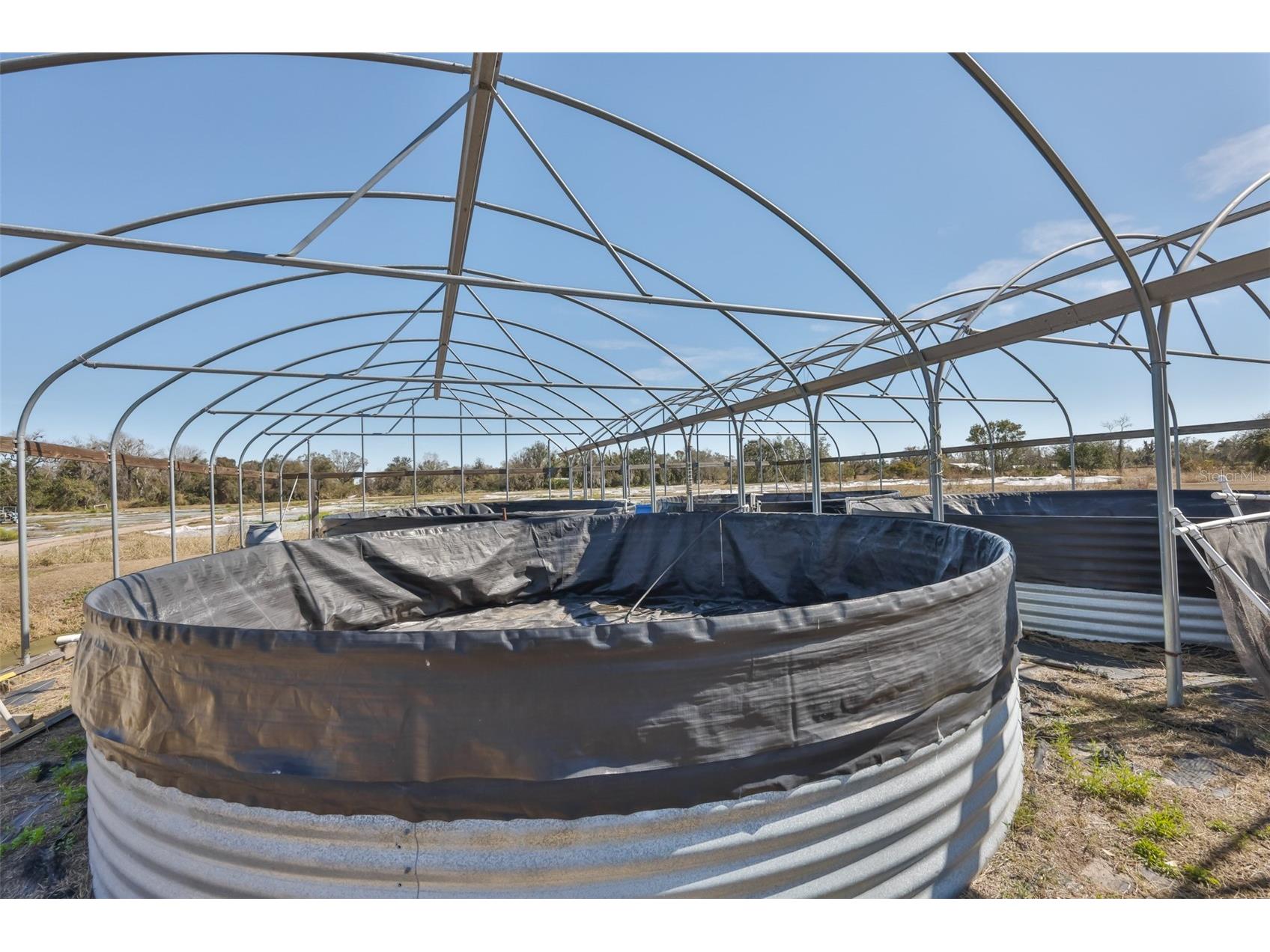 20112 Hobbs Road Wimauma FL 33598 TB8474546 image36