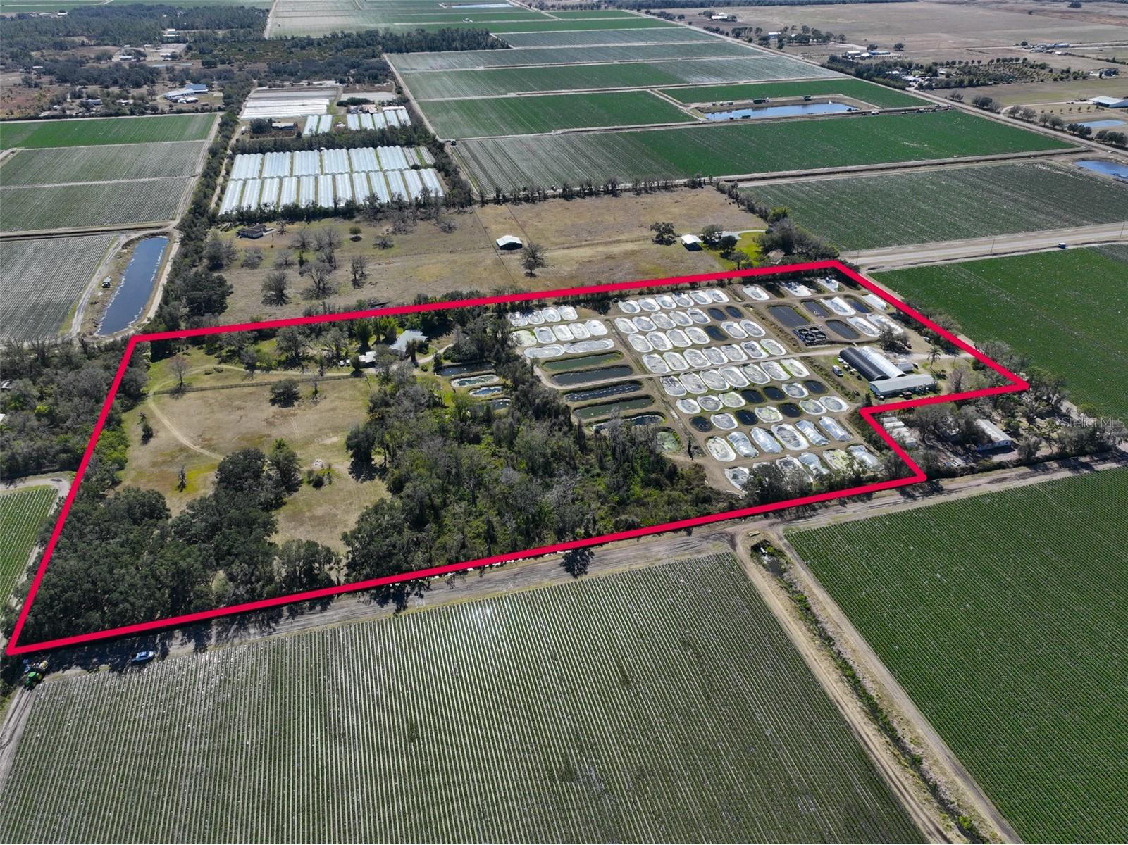 20112 Hobbs Road Wimauma FL 33598 TB8474546 image38