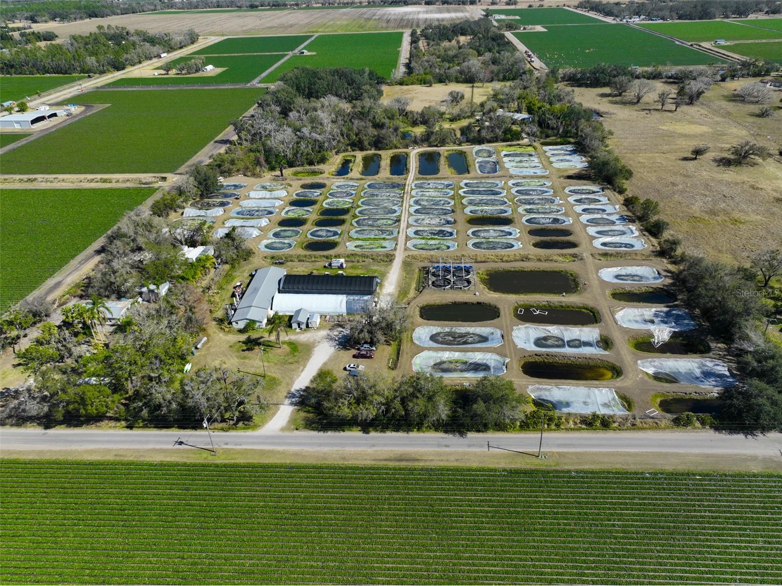 20112 Hobbs Road Wimauma FL 33598 TB8474546 image94