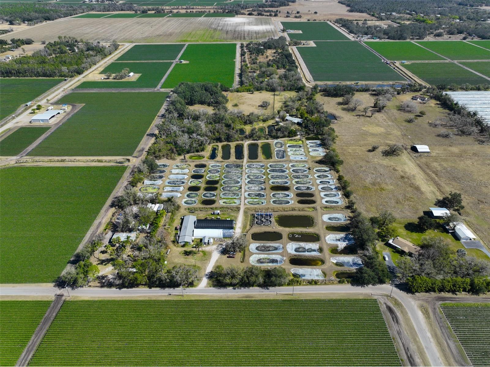 20112 Hobbs Road Wimauma FL 33598 TB8474546 image96