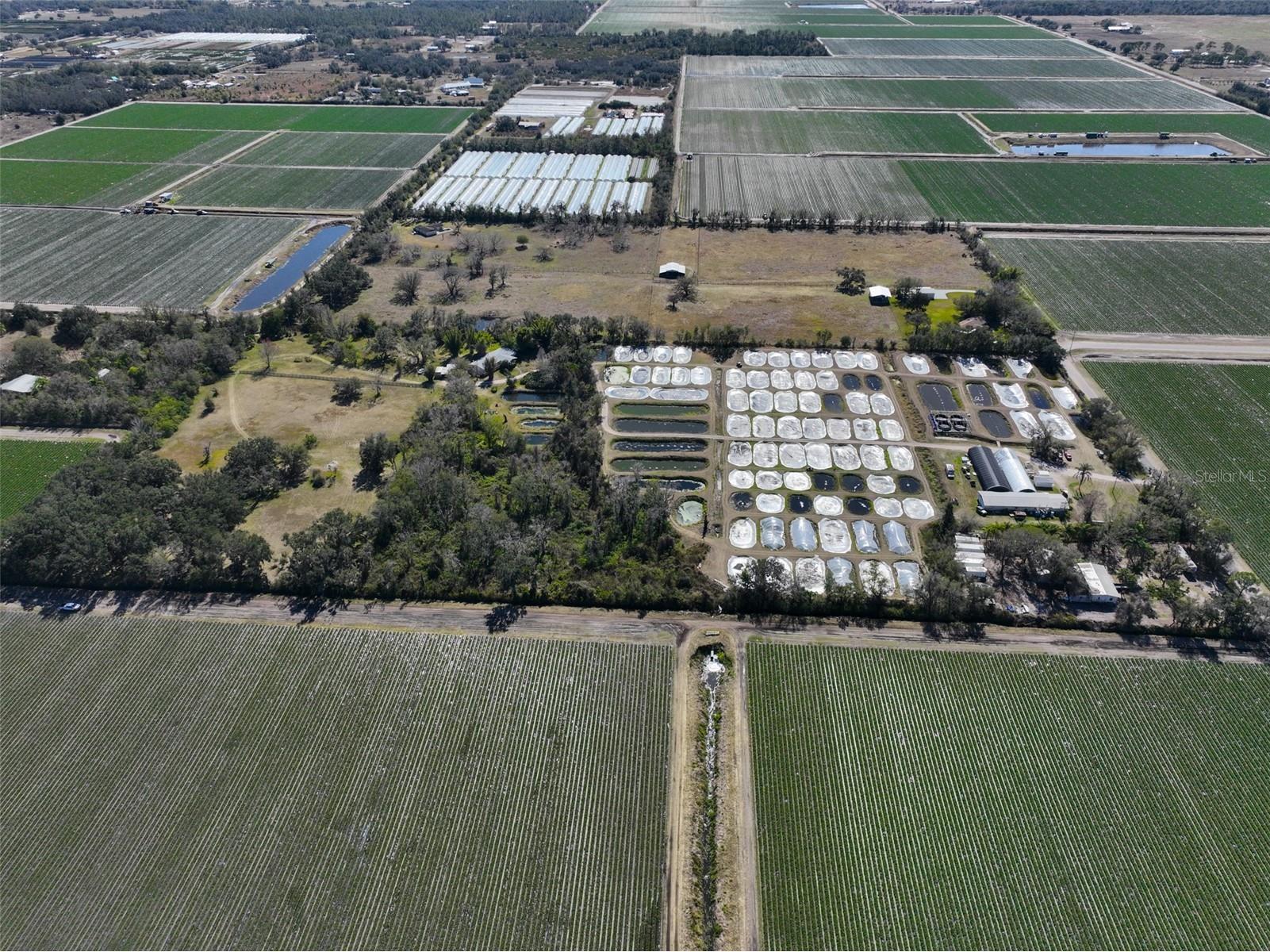 20112 Hobbs Road Wimauma FL 33598 TB8474546 image97