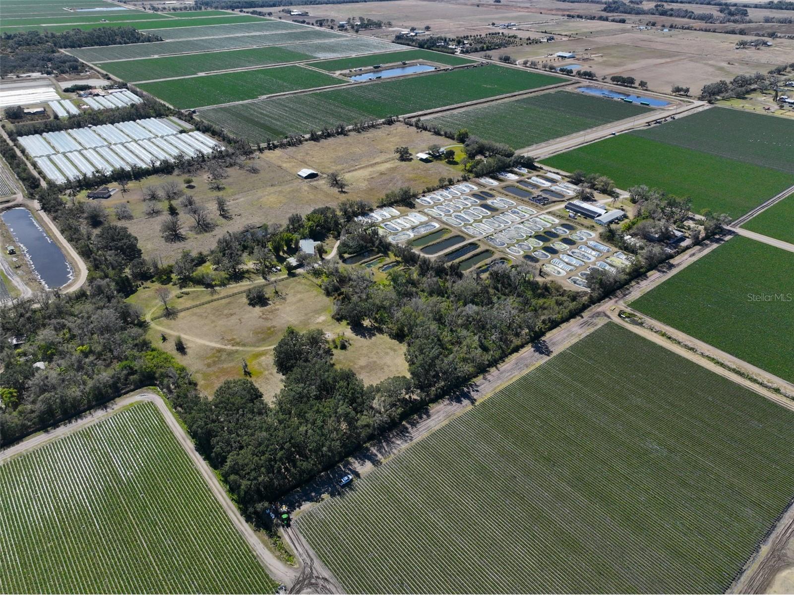 20112 Hobbs Road Wimauma FL 33598 TB8474546 image98