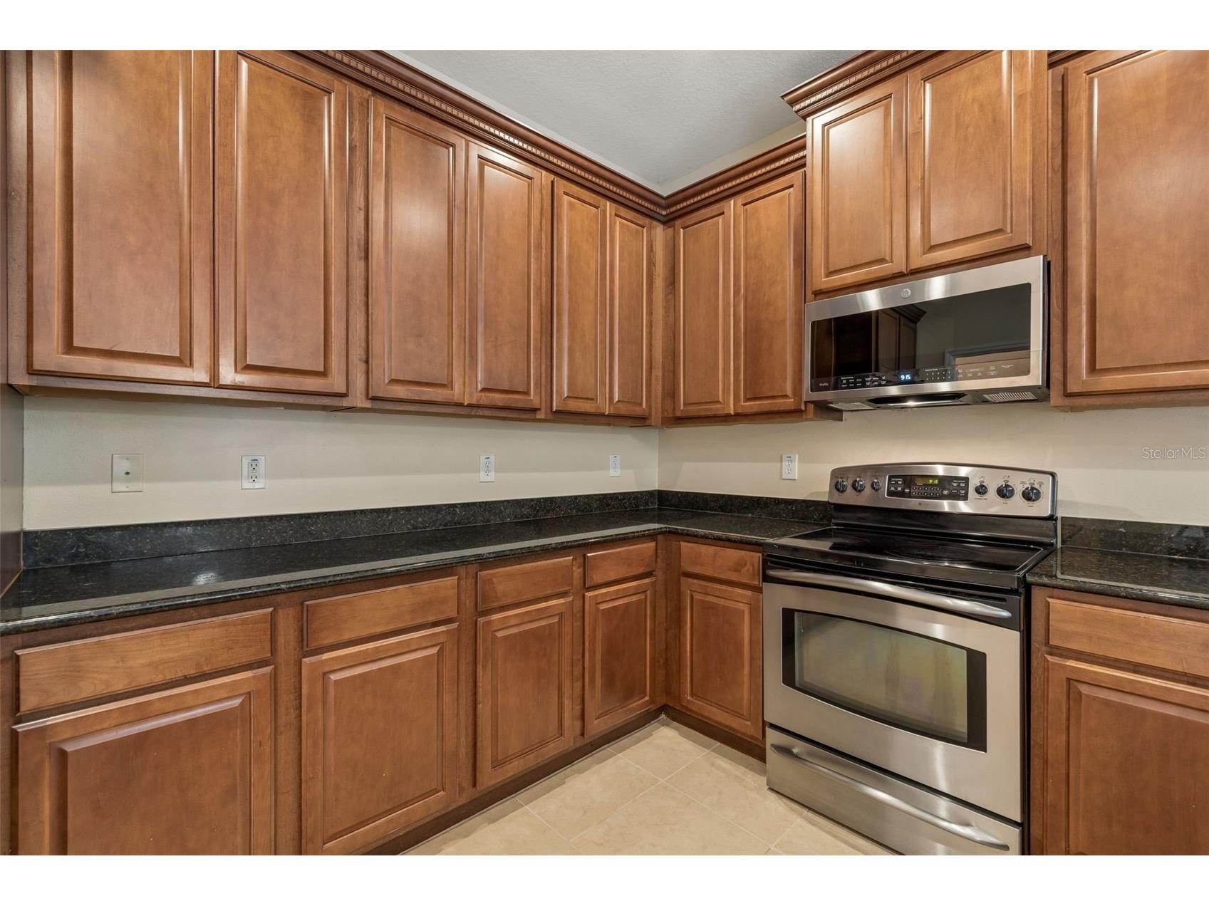 20112 Indian Rosewood Drive Tampa FL 33647 TB8486427 image26