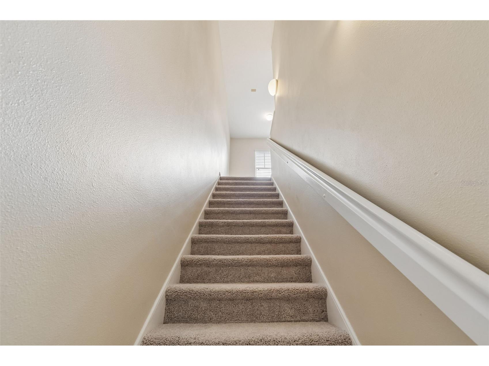 20112 Indian Rosewood Drive Tampa FL 33647 TB8486427 image33