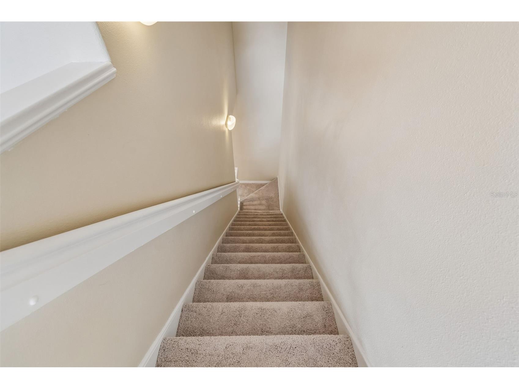 20112 Indian Rosewood Drive Tampa FL 33647 TB8486427 image34