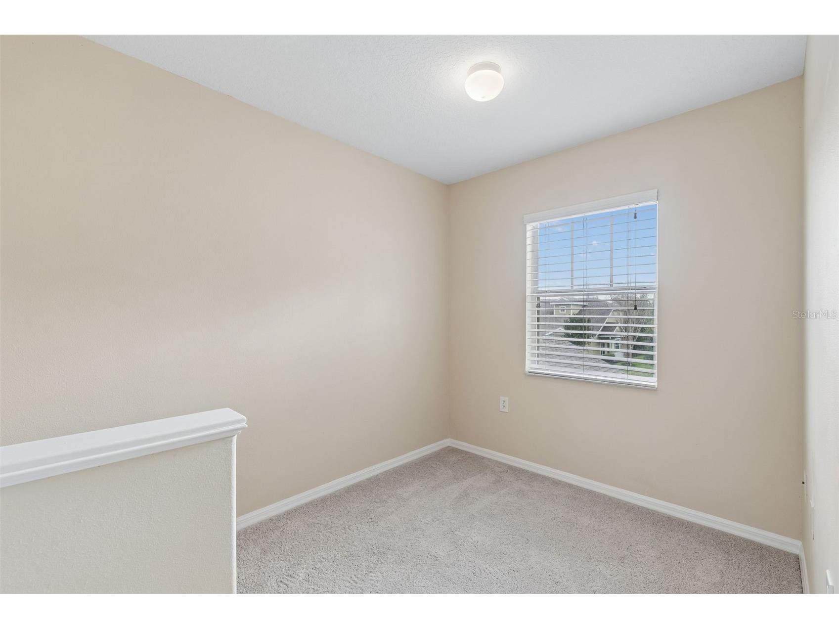 20112 Indian Rosewood Drive Tampa FL 33647 TB8486427 image36