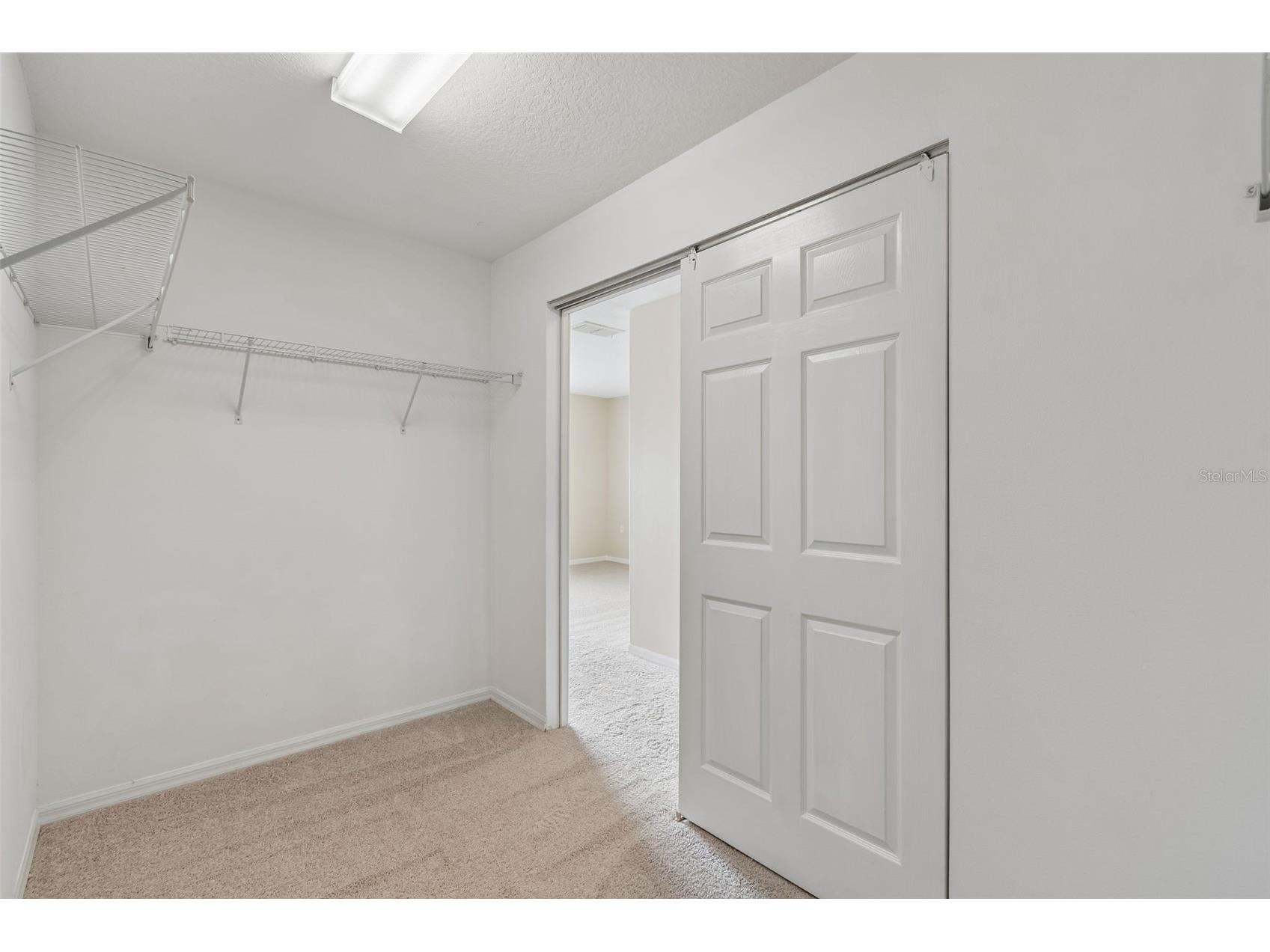 20112 Indian Rosewood Drive Tampa FL 33647 TB8486427 image39