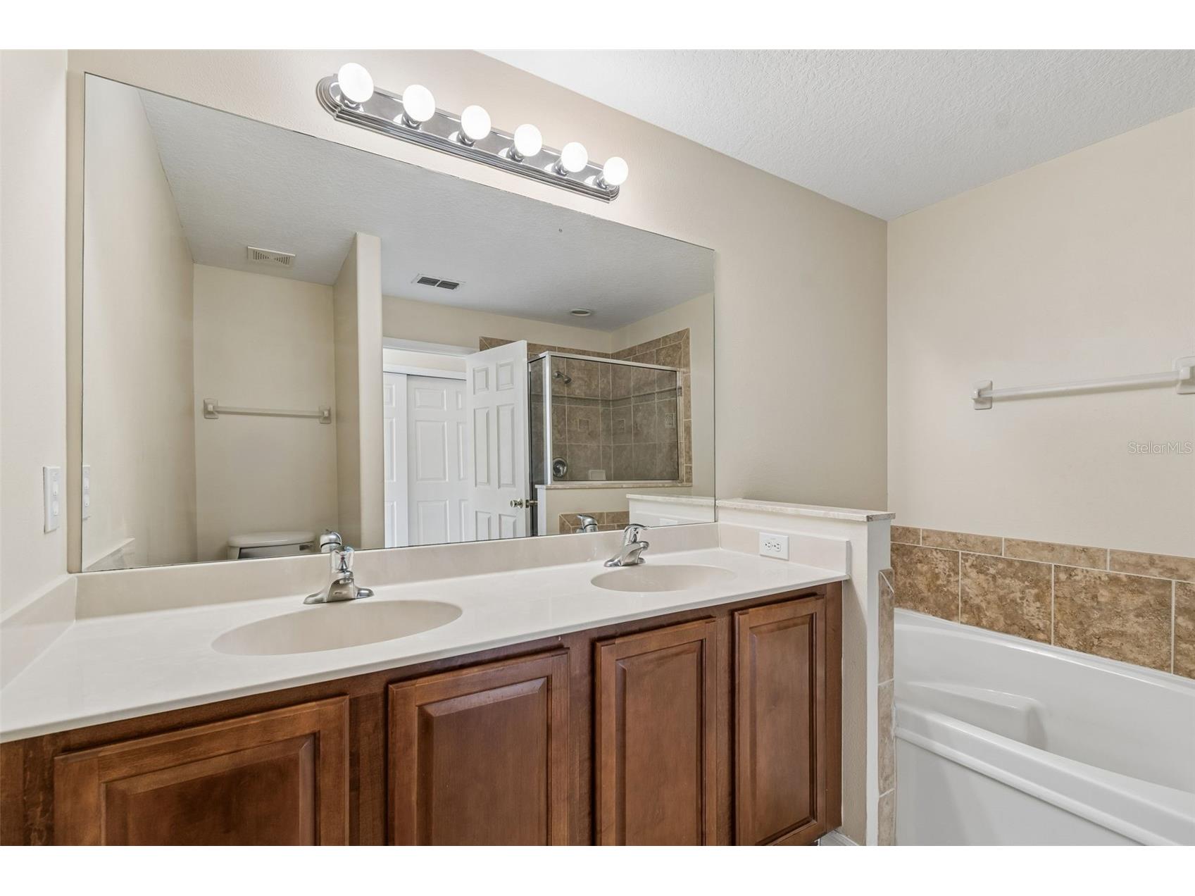 20112 Indian Rosewood Drive Tampa FL 33647 TB8486427 image47