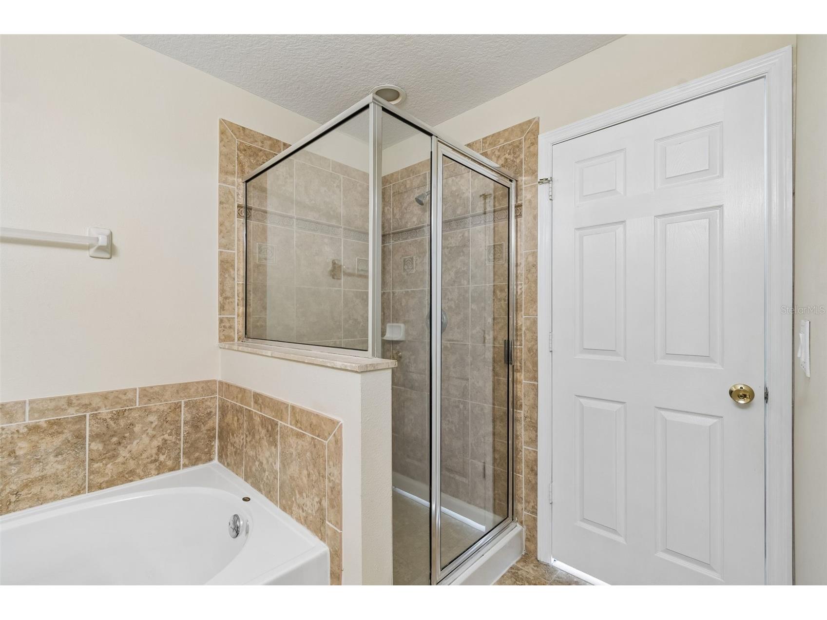 20112 Indian Rosewood Drive Tampa FL 33647 TB8486427 image48